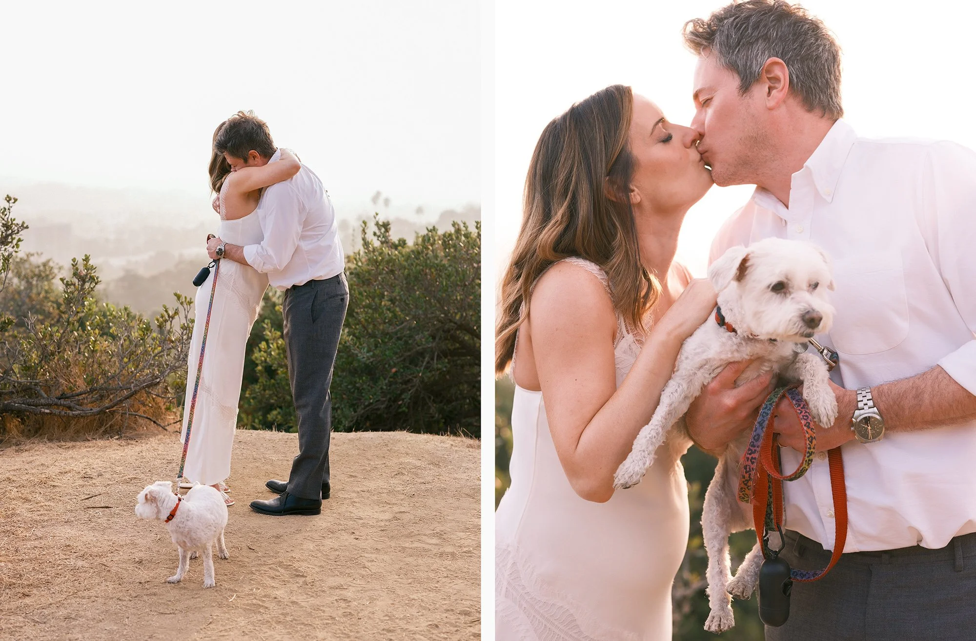 Bride and groom standing together, holding their white dog.