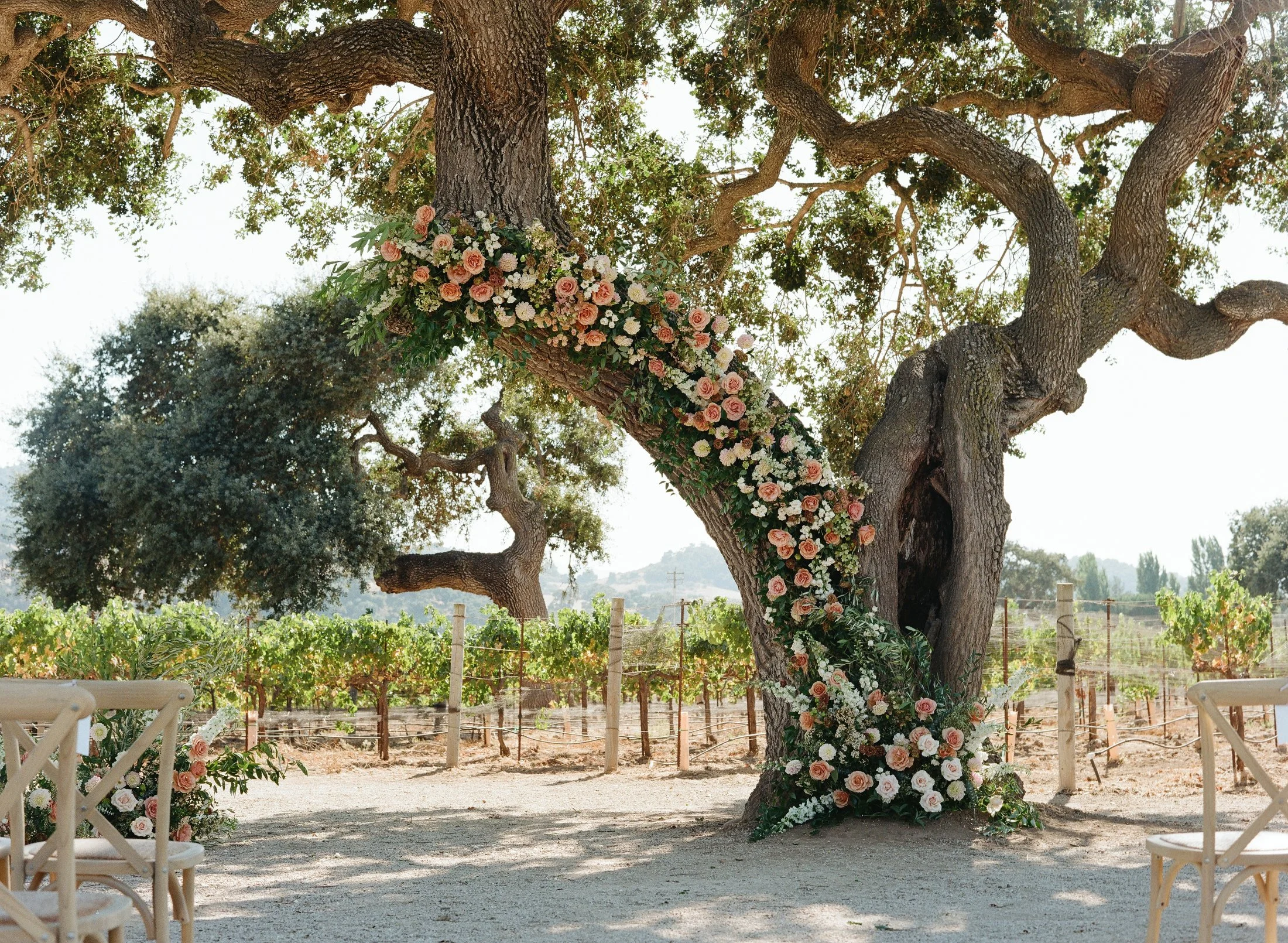 Wedding ceremony arch decorated with pink and white flowers under a large tree.