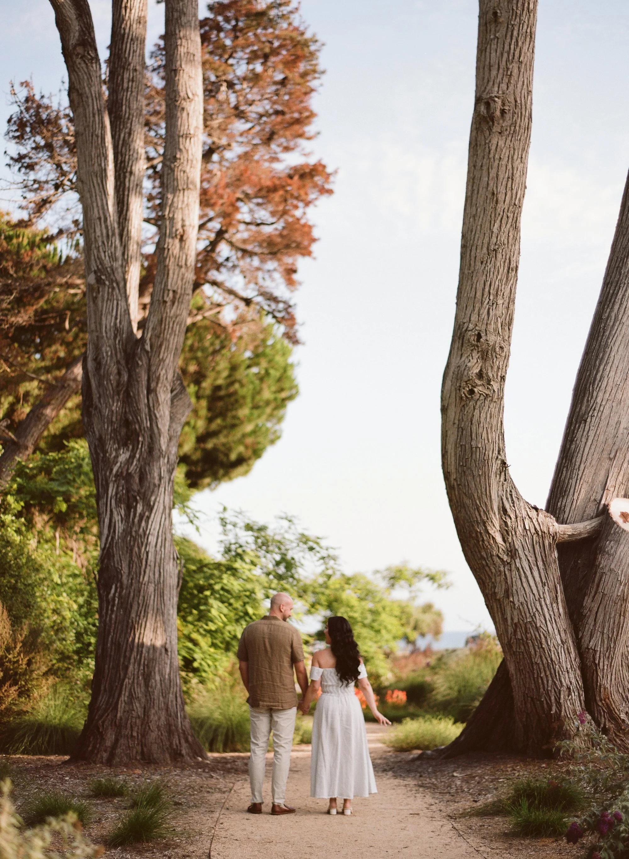 08-santa-barbara-engagement-couple-under-tree.jpg.JPG