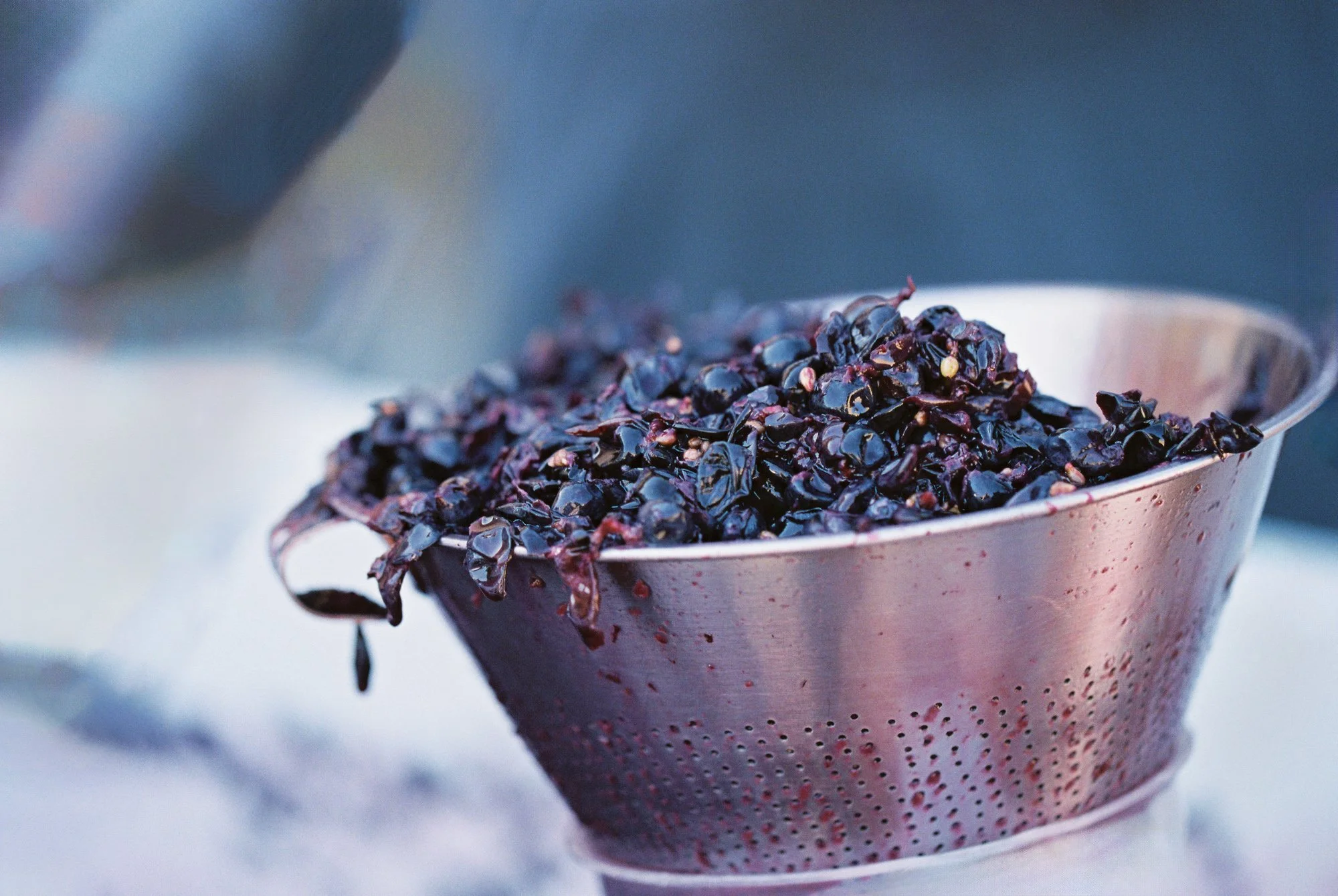23-sunstone-winery-grape-sorting.jpg.JPG