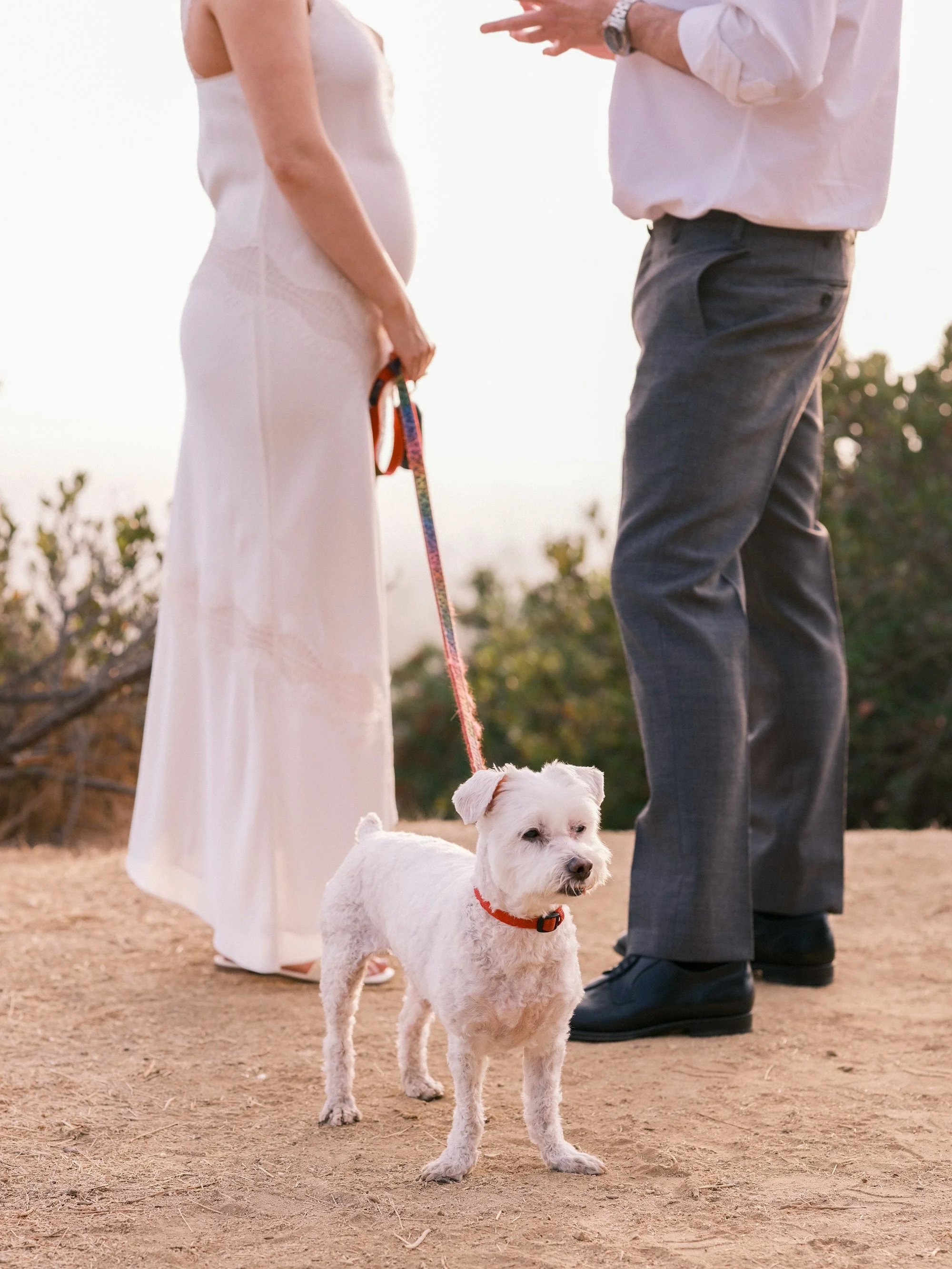 Bride and groom standing together at sunset, holding hands and looking at each other.