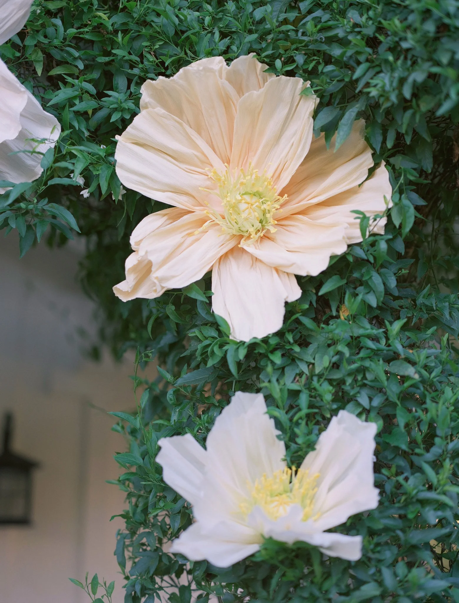 Perfect Wedding at San Ysidro Ranch photos by michaelandannacosta 49.JPG