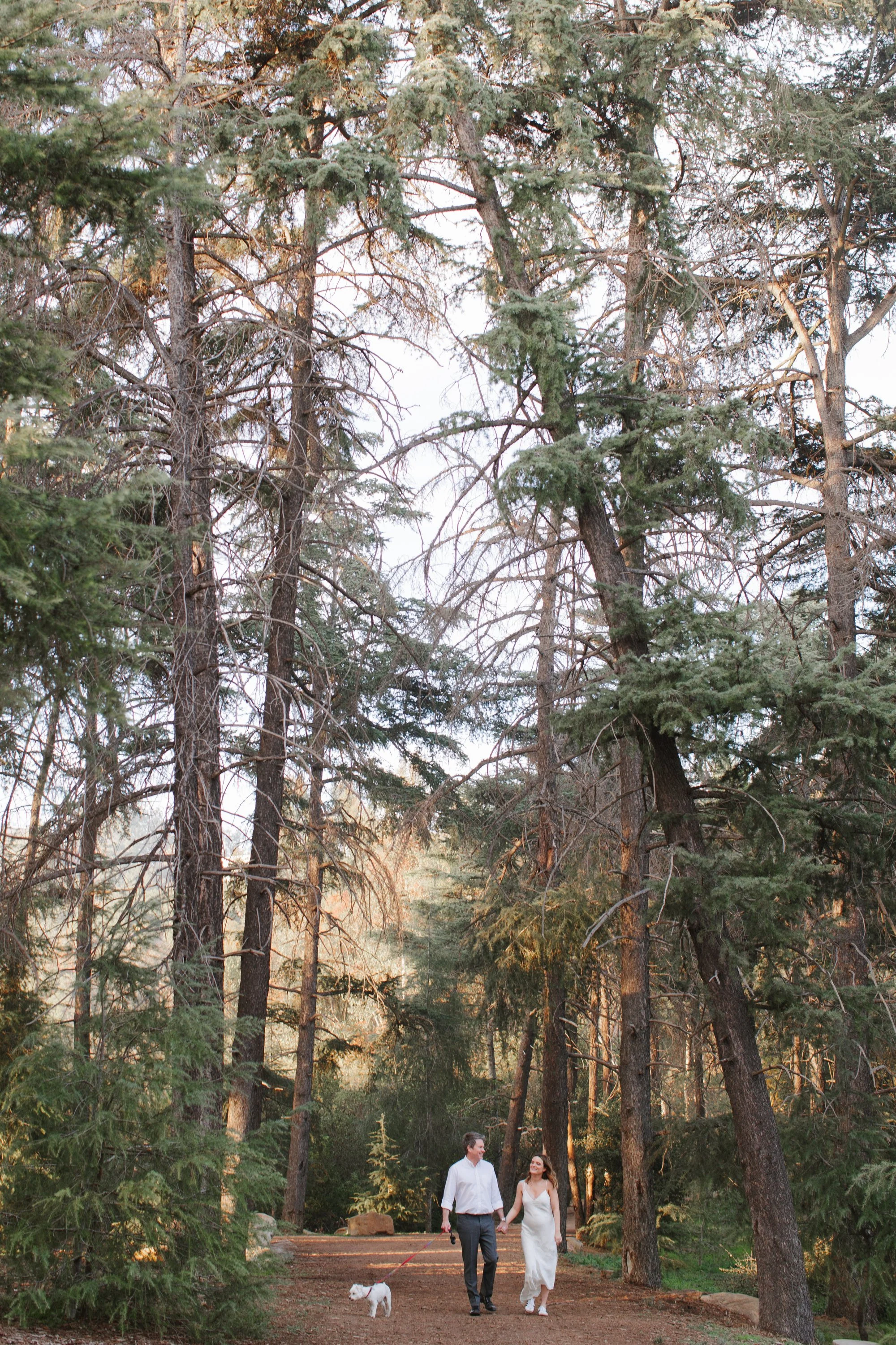 Bride and groom walking together in a sunlit forest.