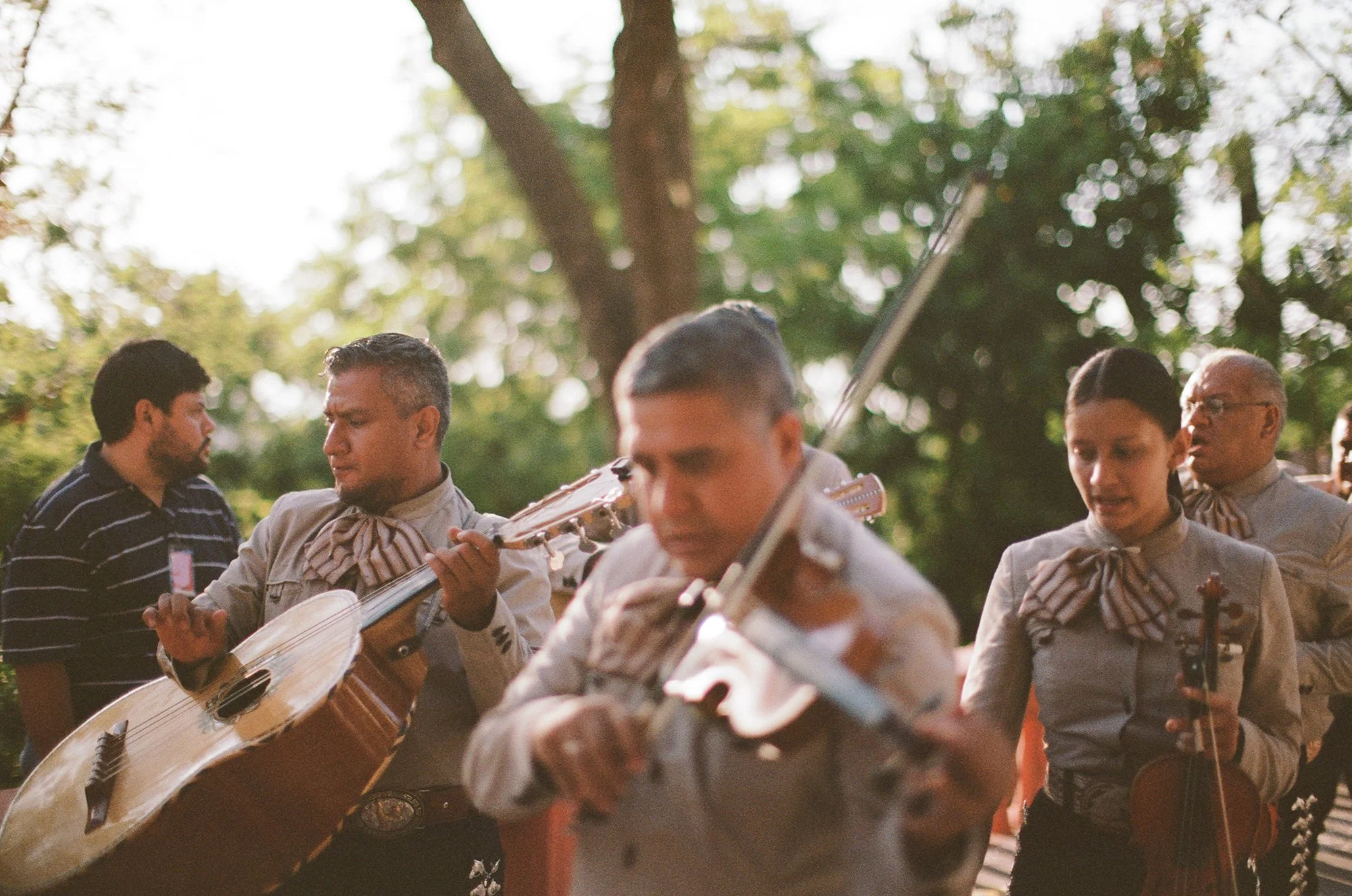 Mariachi band performing at an outdoor wedding ceremony.