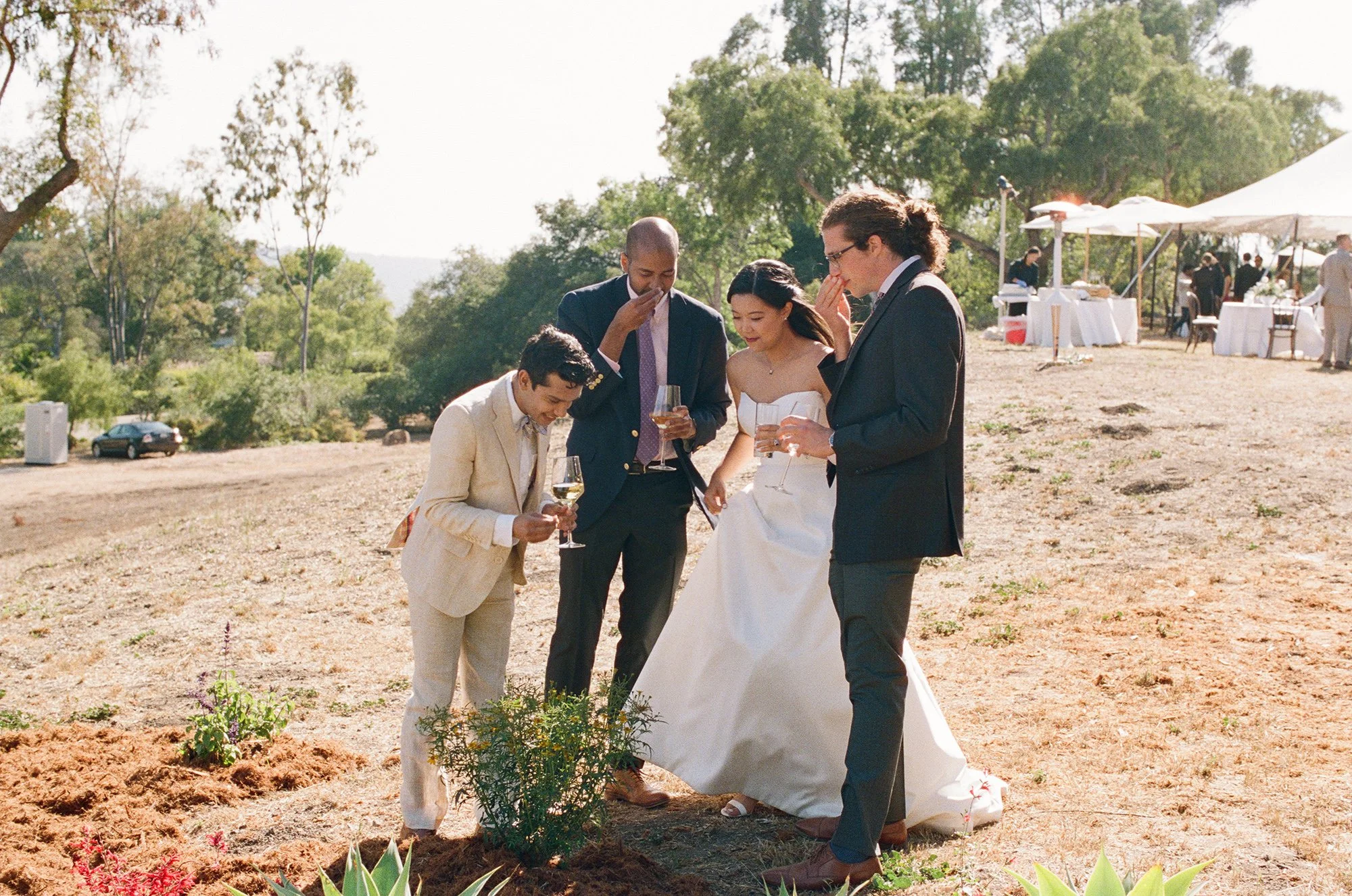 bride and guests photographed by Michael and Anna Costa