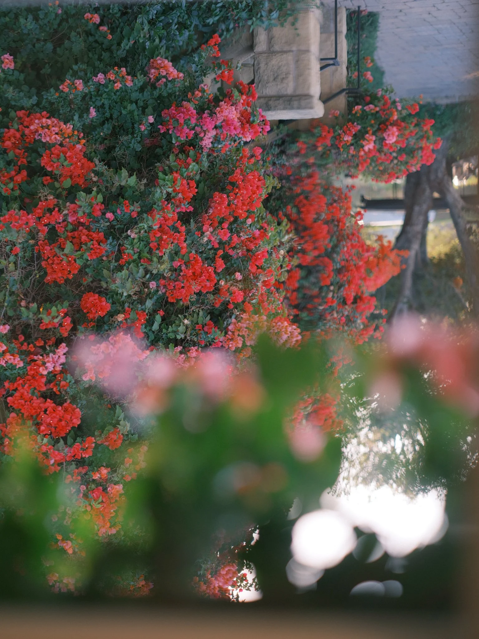Perfect Wedding at San Ysidro Ranch photos by michaelandannacosta 41.JPG
