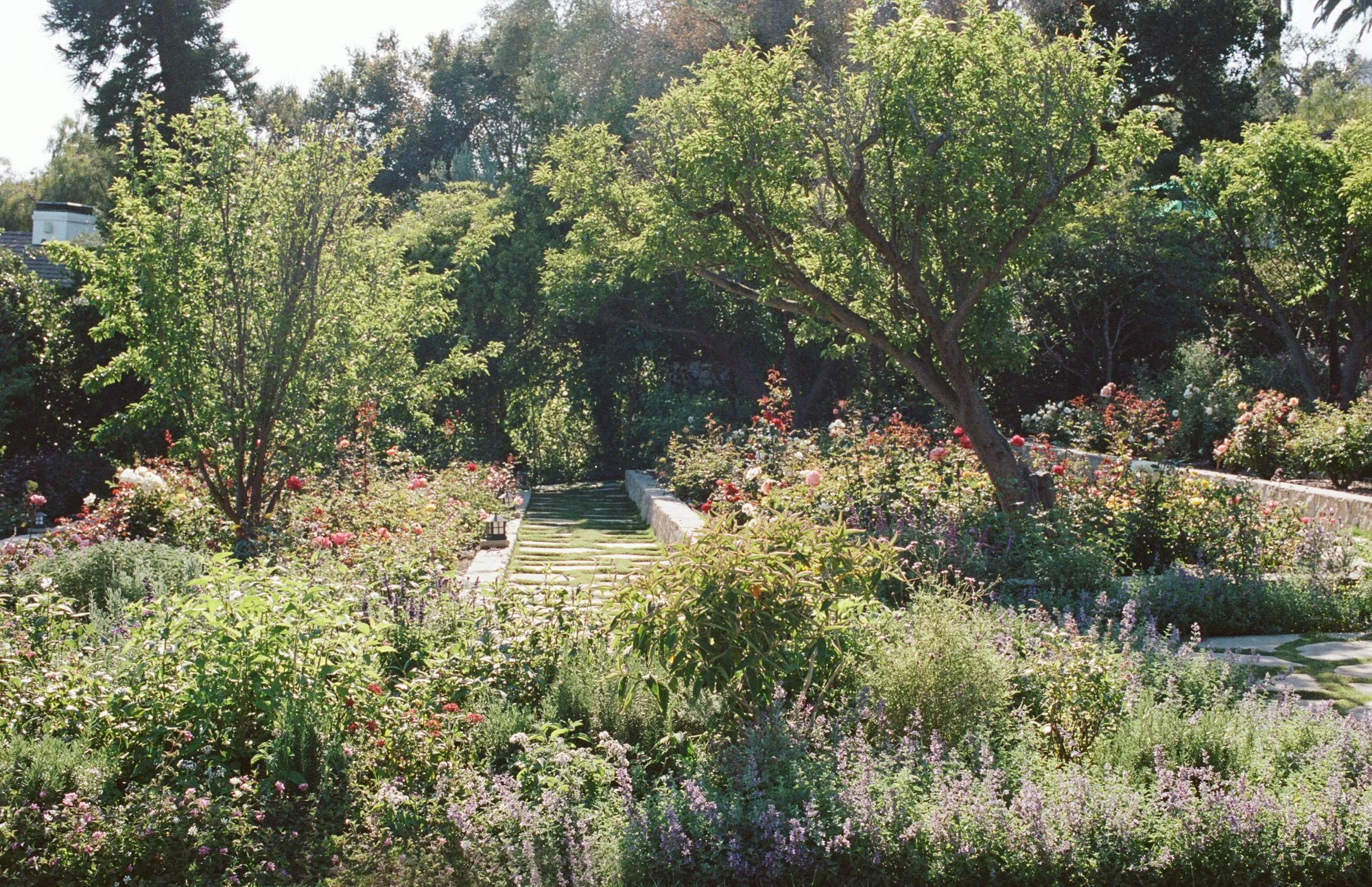 scenic view wedding setup photographed by Michael and Anna Costa