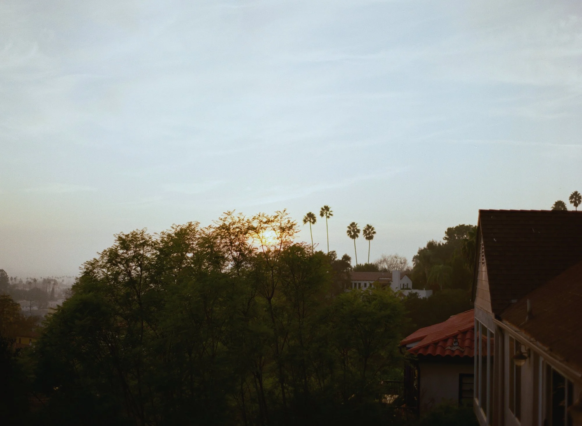 Scenic view of treetops and a distant sunset over the hills.