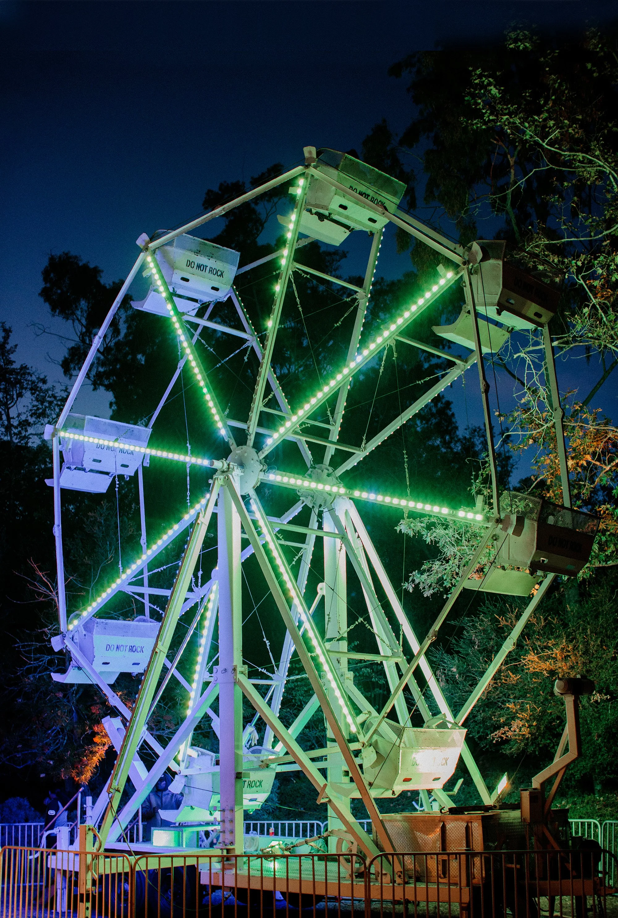 Ferris Wheel lit up nighttime photographed by Michael & Anna Costa