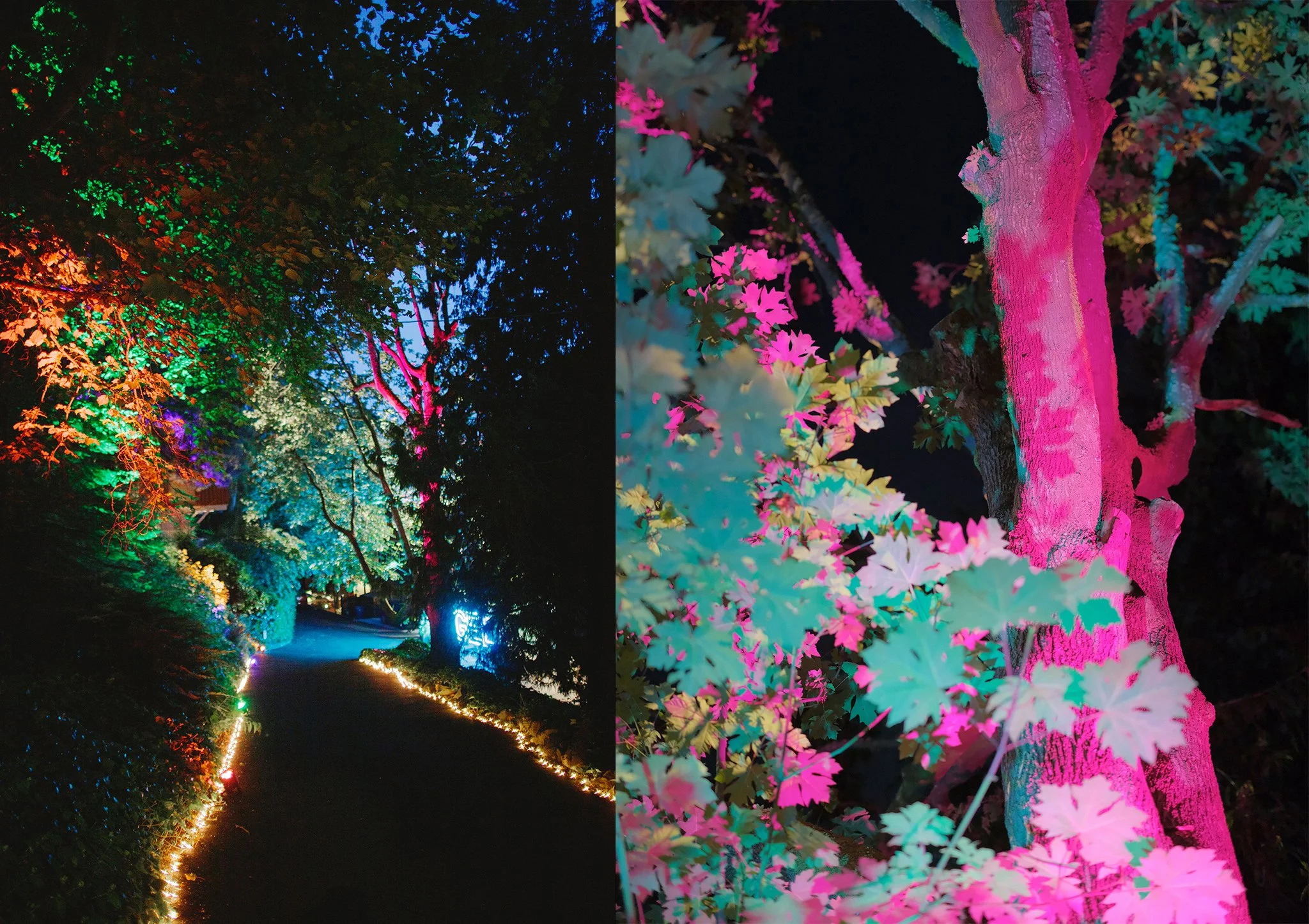 18-seattle-graduation-party-art-installation.jpg.JPG