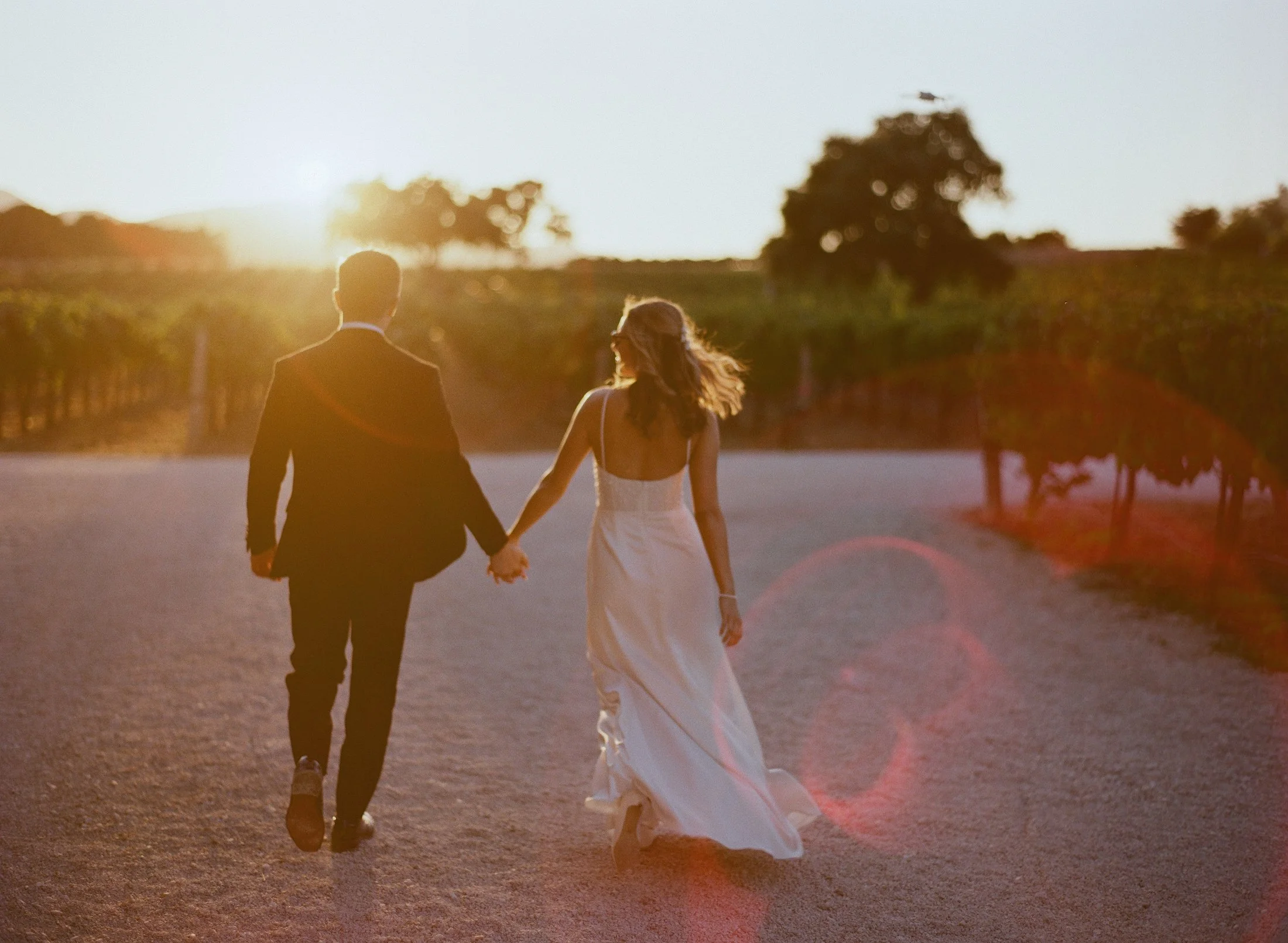 Bride and groom walking hand in hand at sunset on a vineyard path.