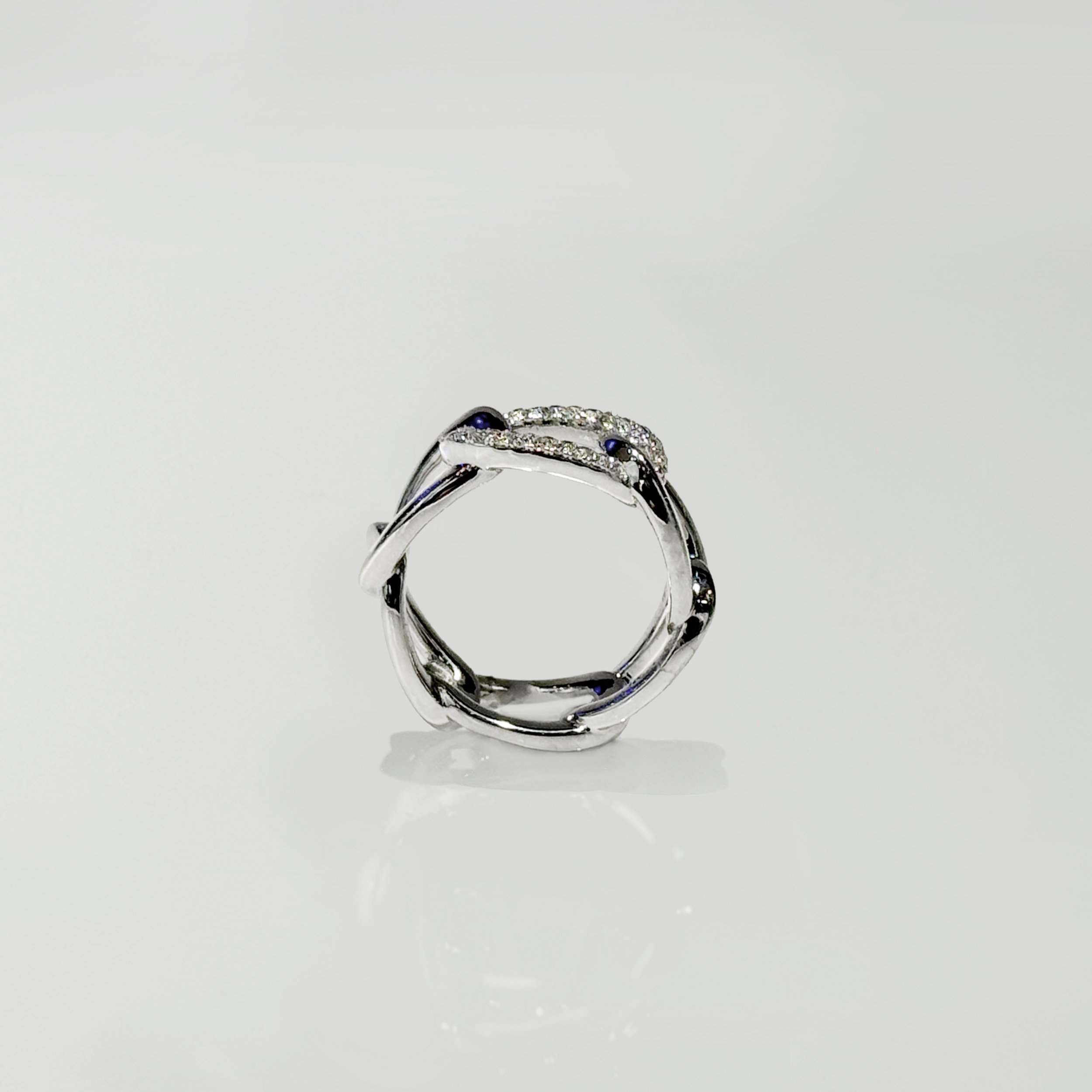Ring1A_IMG_0256psd.jpg