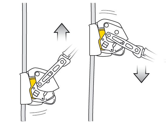 Petzl ASAP Lock 2.jpeg