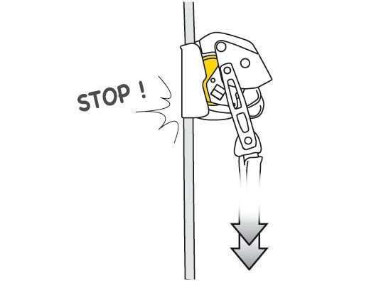 Petzl ASAP Lock 3.jpeg