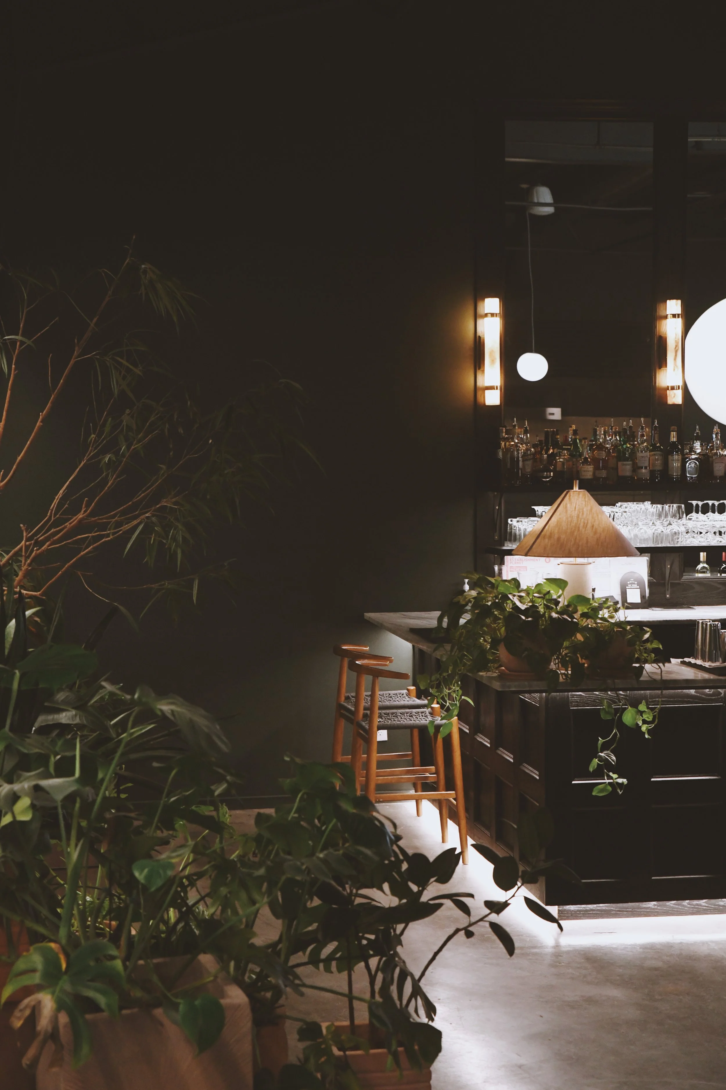 Photo Feb 27 2025, 5 23 12 PM.jpg