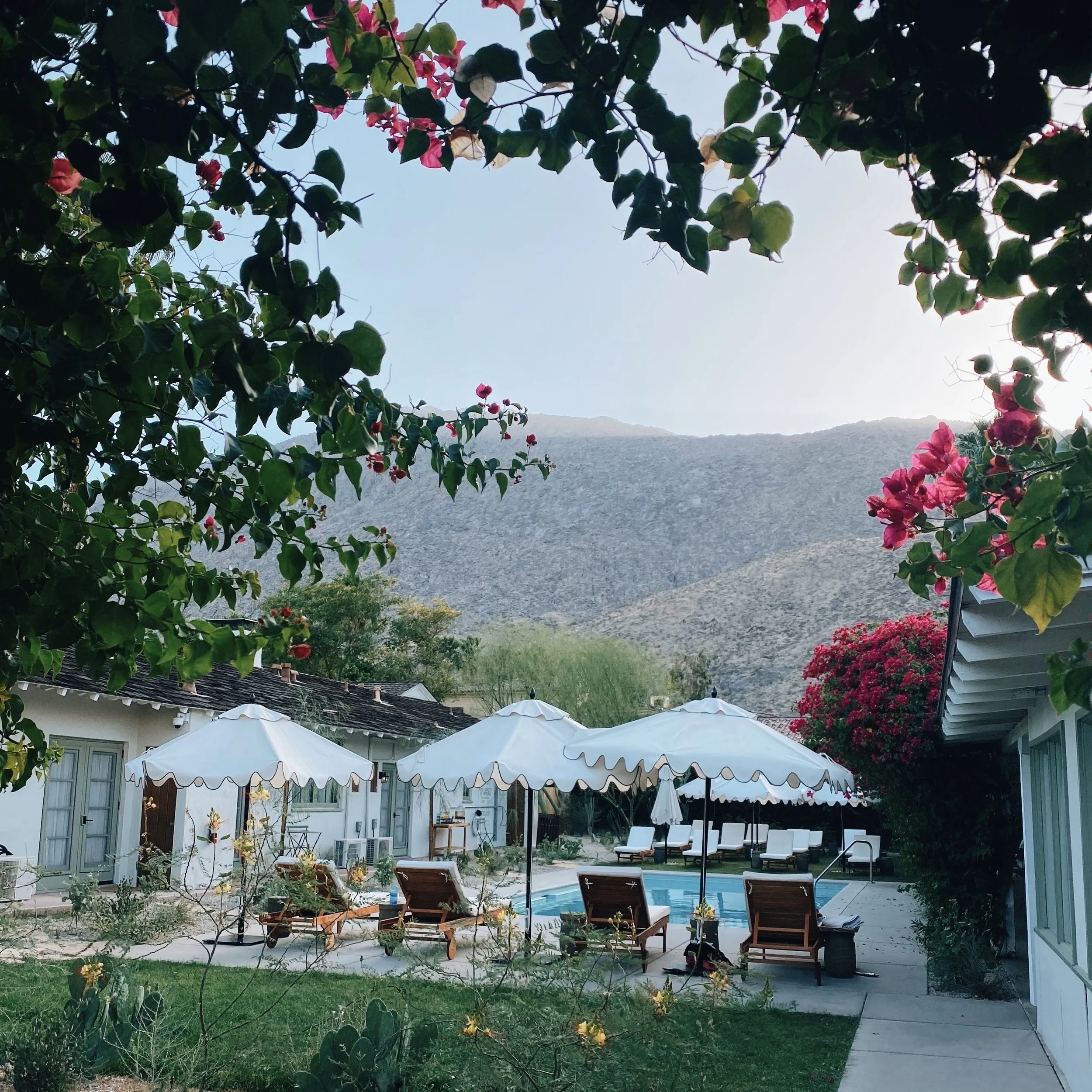 Boutique hotel photography Anna Petrow Palm Springs