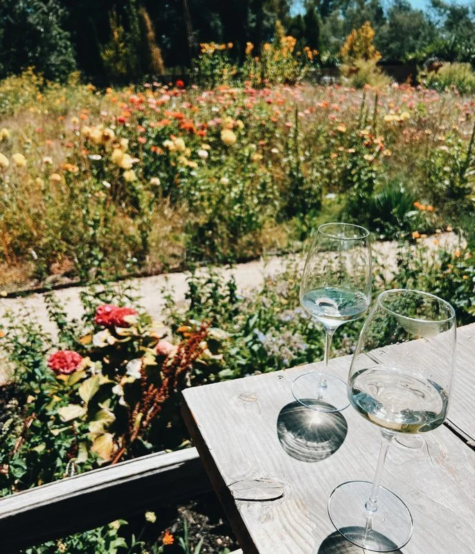 Sonoma girls trip Anna Petrow