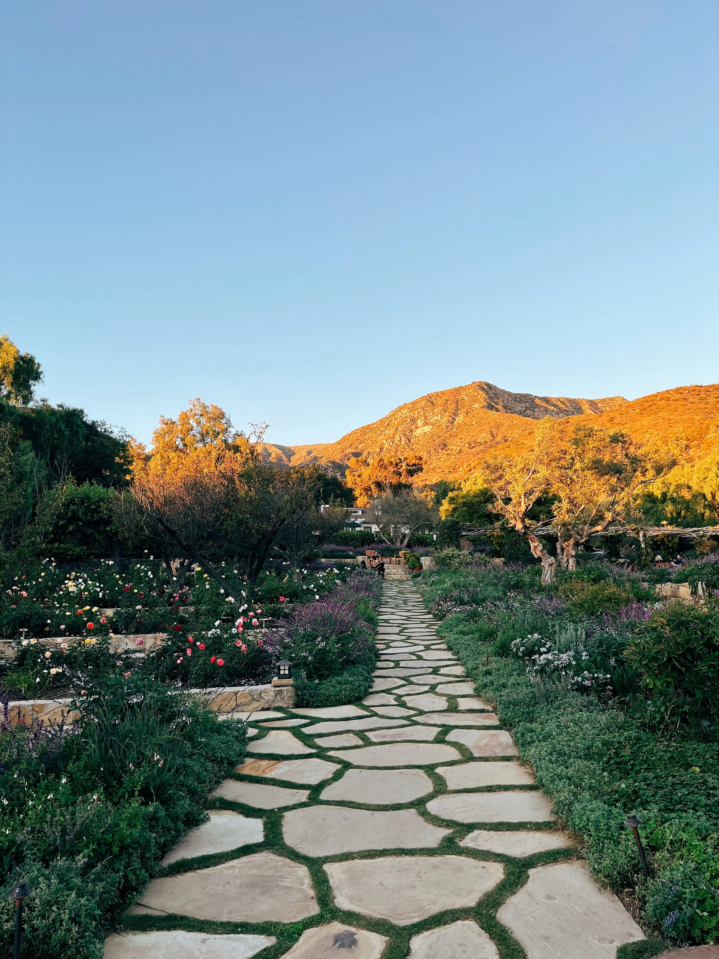San Ysidro Inn photos Anna Petrow