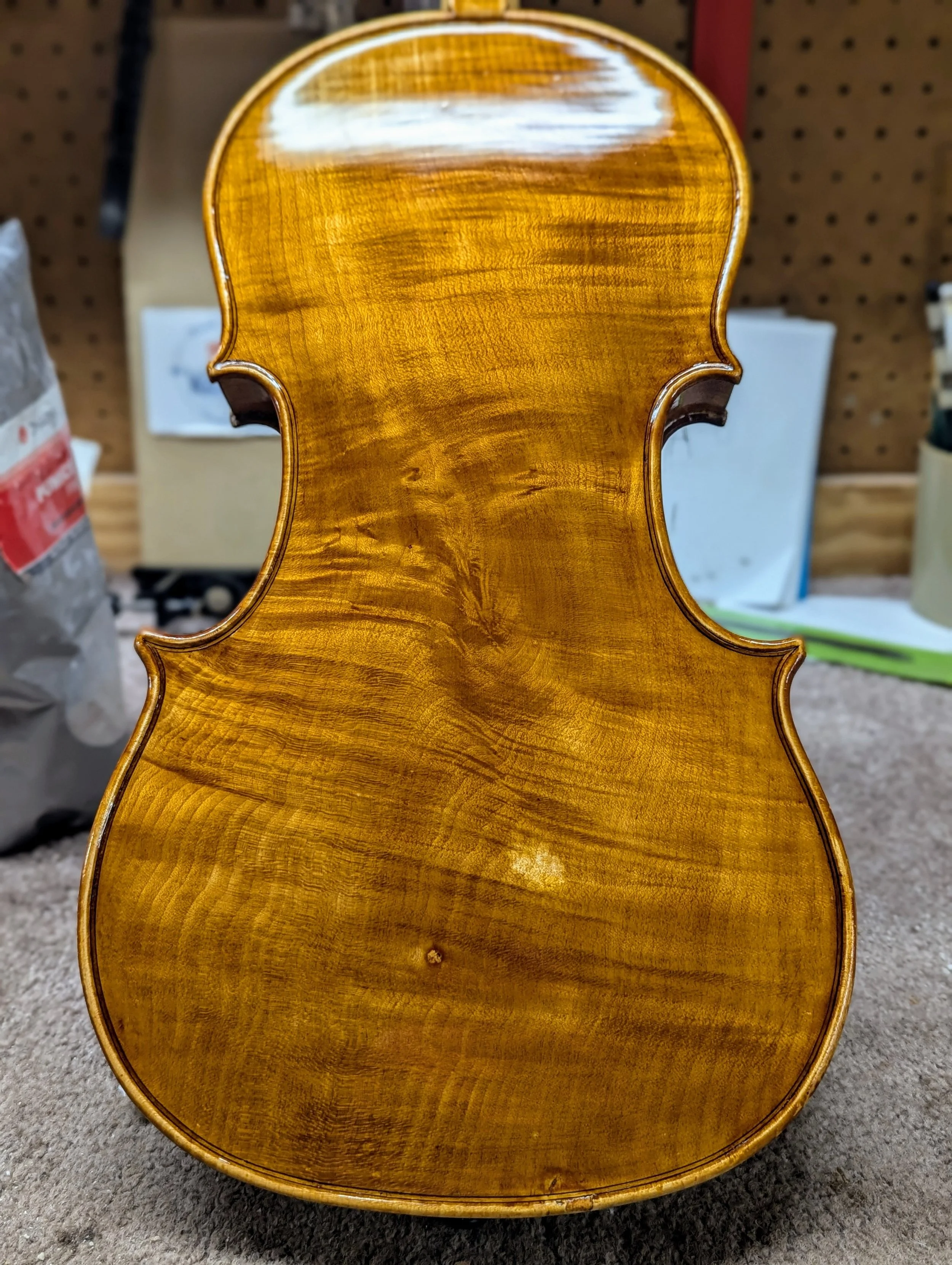 Spot of missing varnish on back.