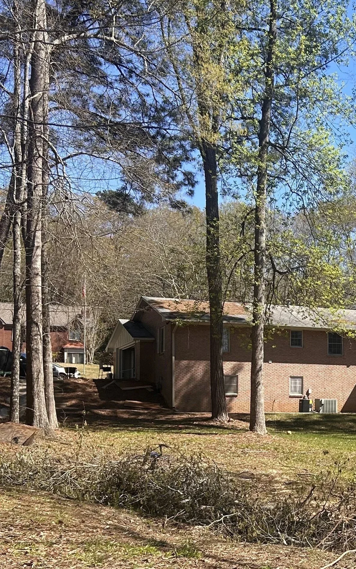 How Trees Affect Home Insurance—What Every Homeowner Should Know