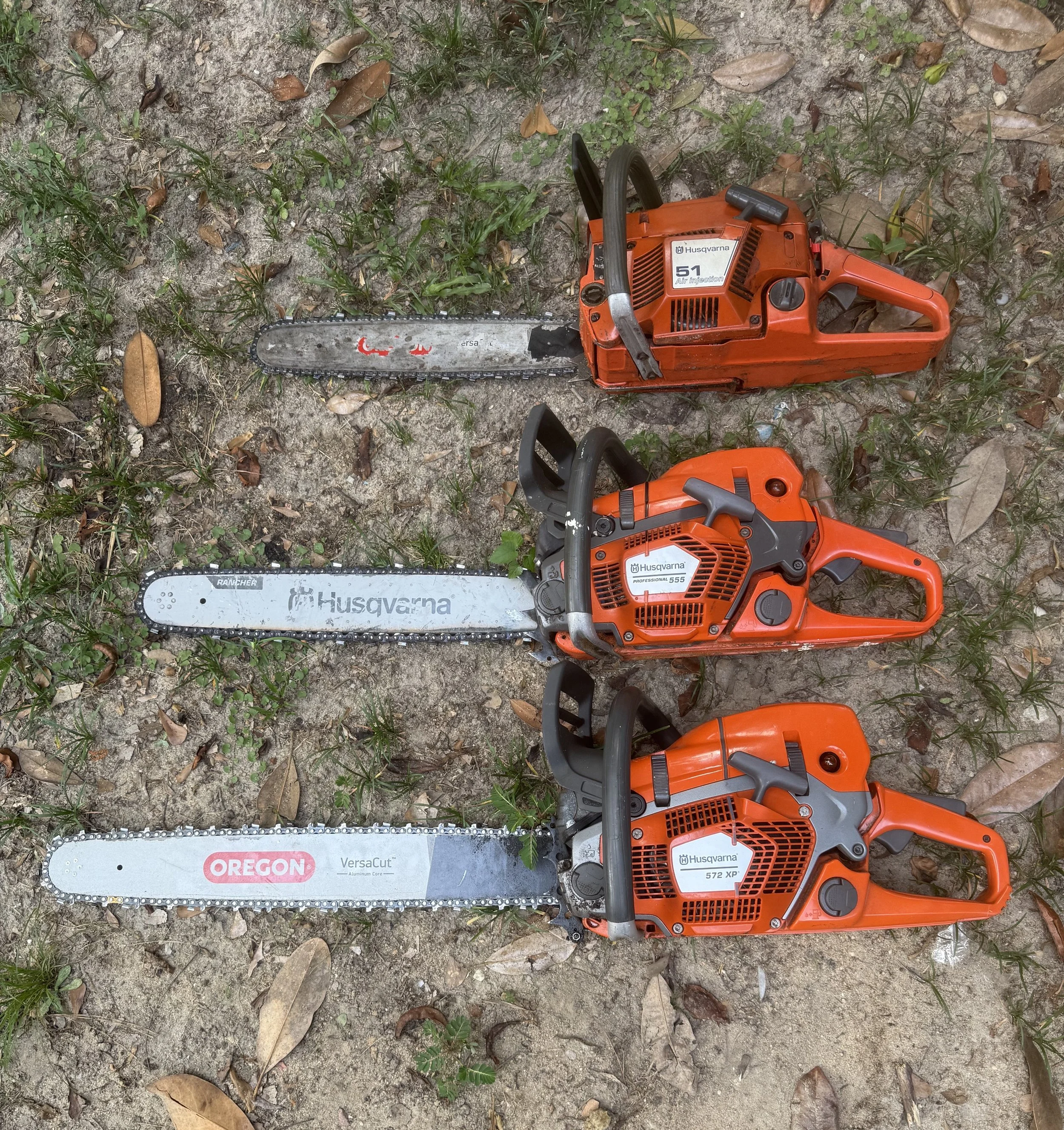 Early Spring Tree Care Guide for Western Georgia &amp; East Alabama