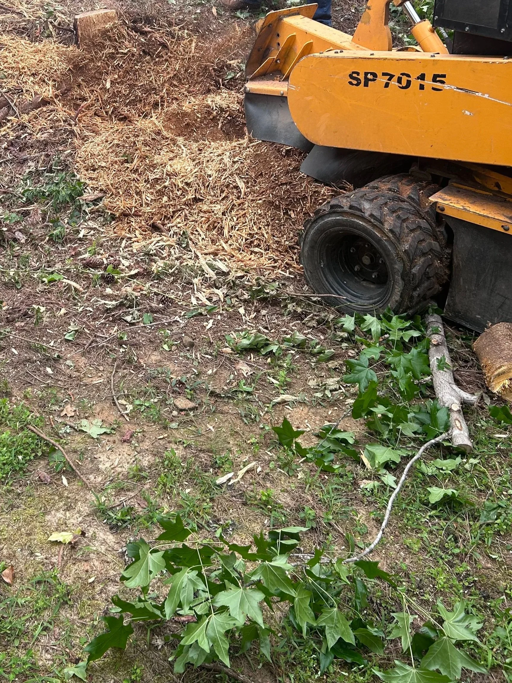 Stump grinding