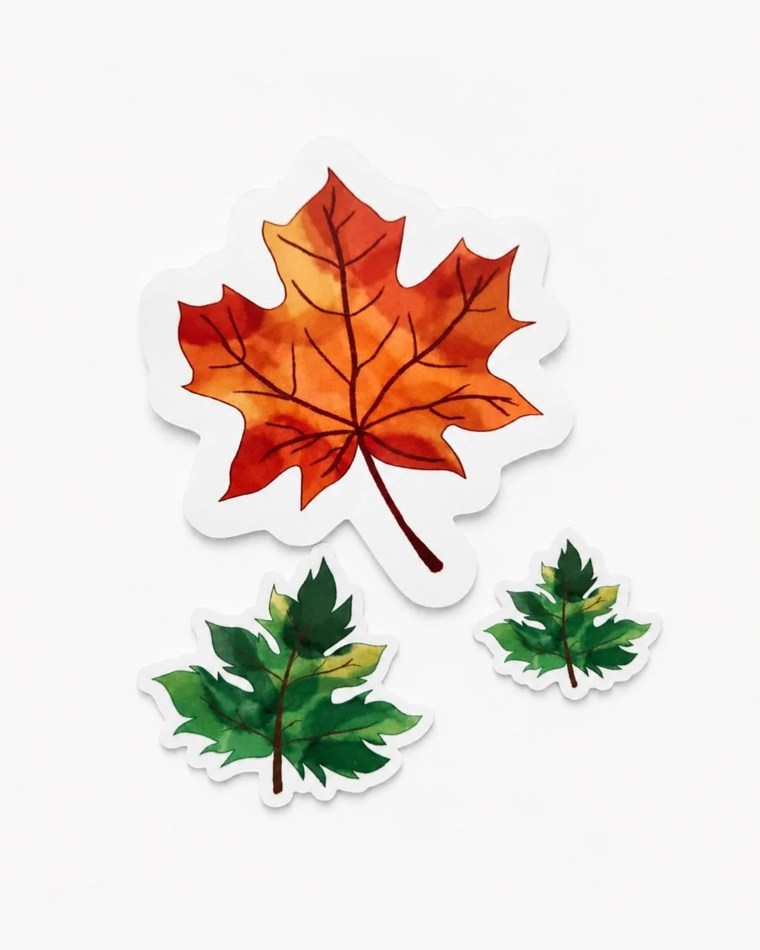 Leaf Sticker 3 Pack.jpg