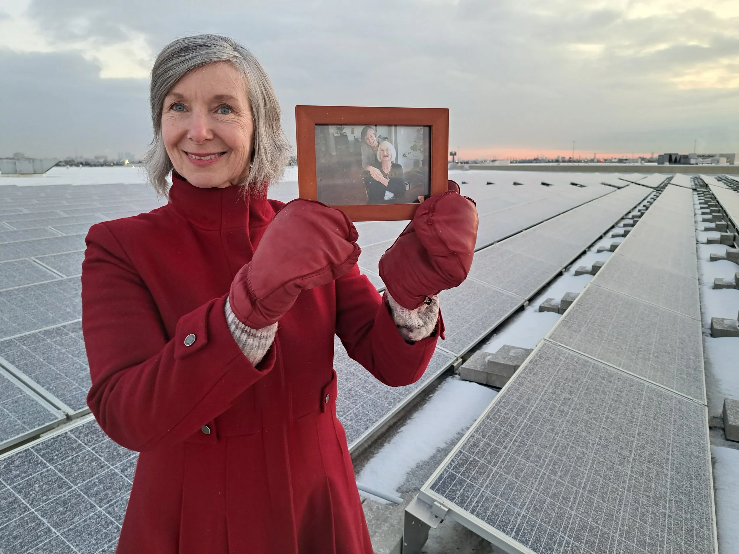 Trellis Fund rooftop solar 2.jpg