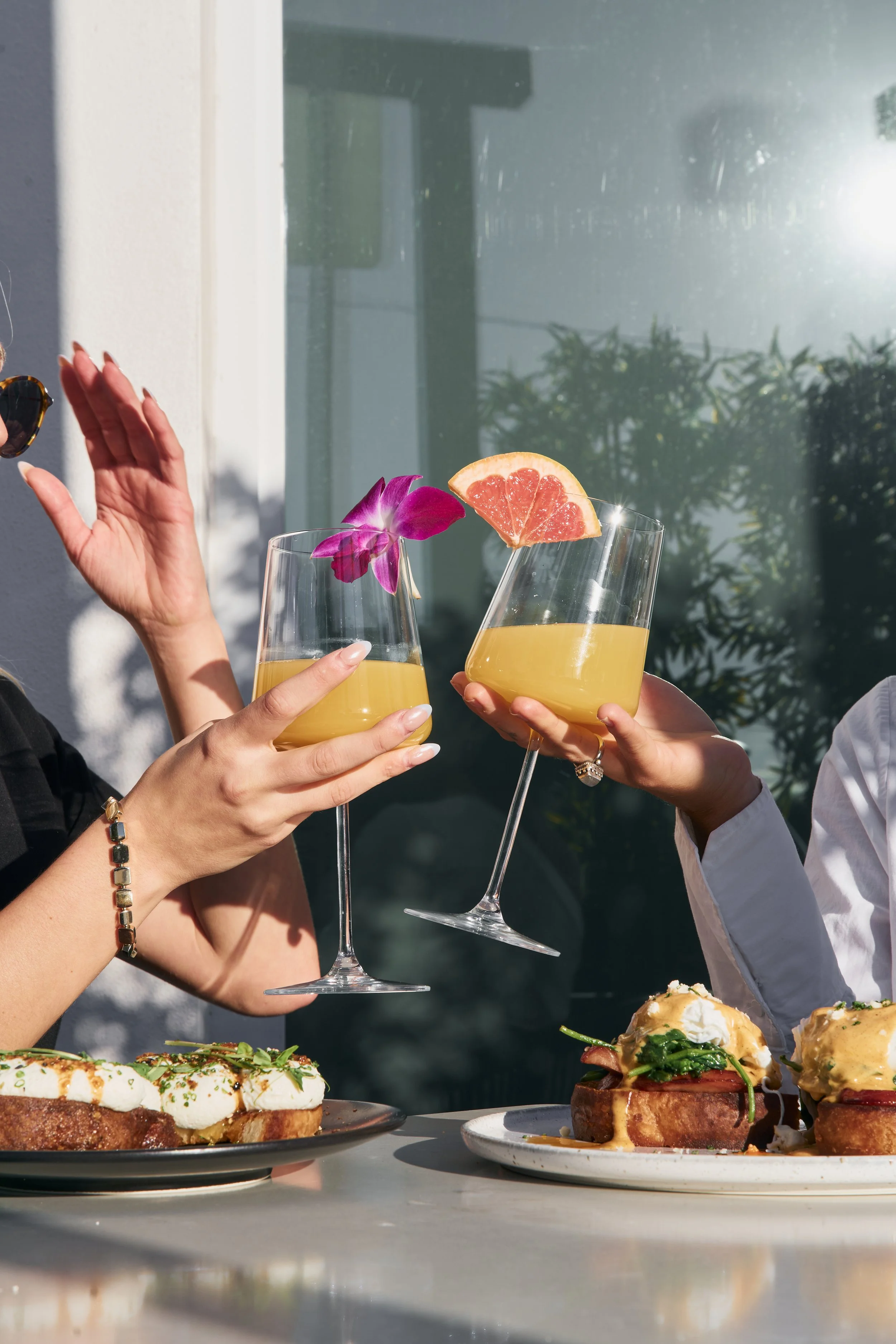 Mimosa Lifestyle 1.jpg