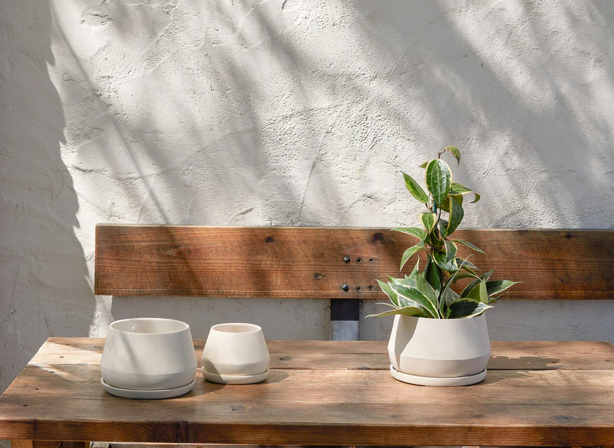 Revival Ceramics