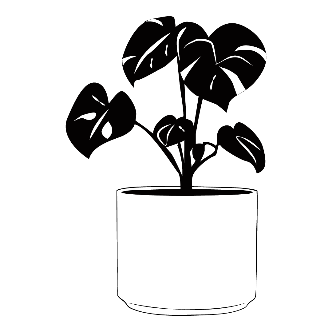 Monstera in Cylinder.png