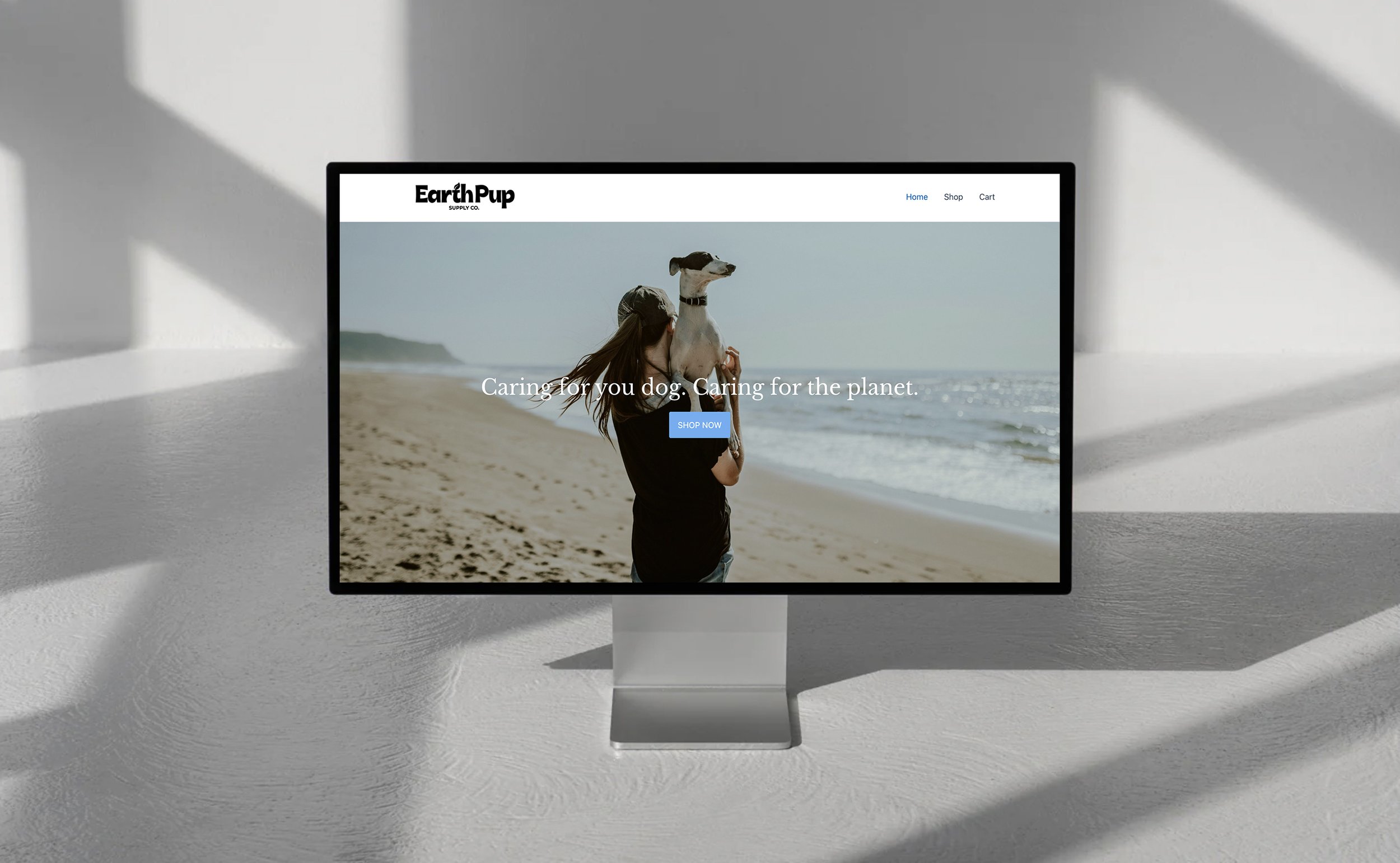 homepage.jpg