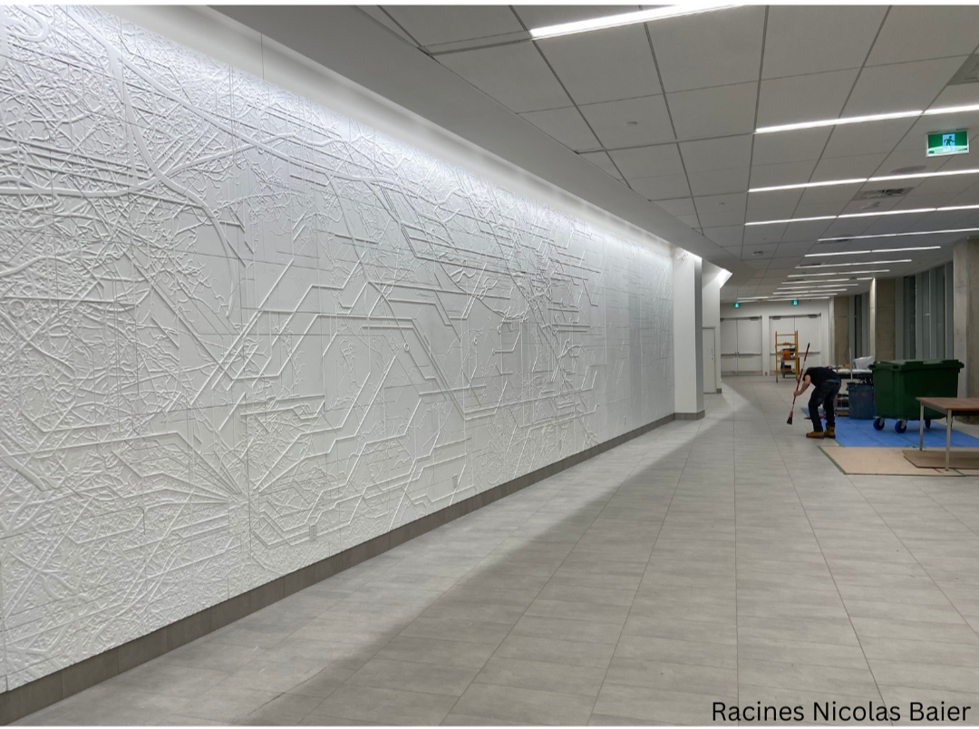 Racines Nicolas Baier2.PNG