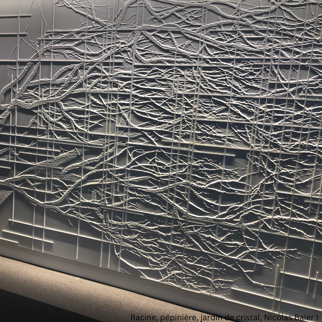 Racine, pépinière, jardin de cristal, Nicolas Baier 3.png