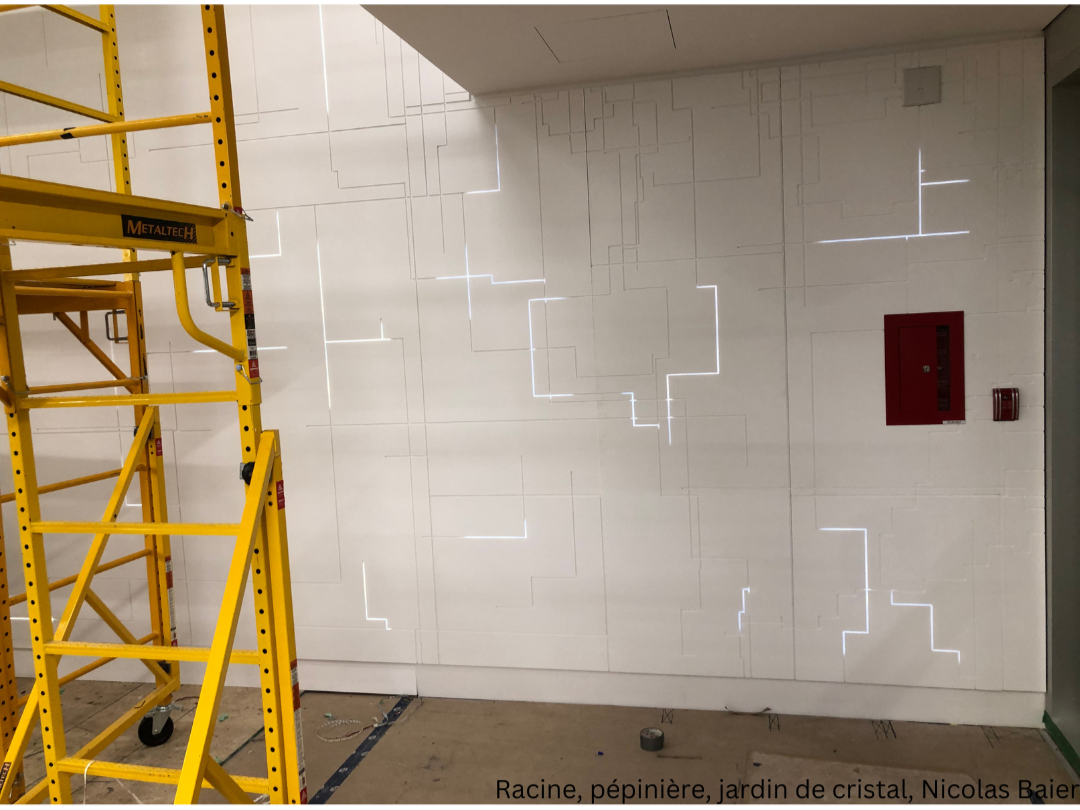 Racine, pépinière, jardin de cristal, Nicolas Baier3.png