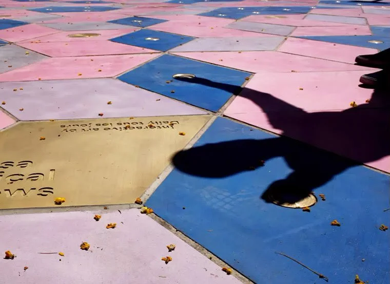 Mesa Musical Shadows