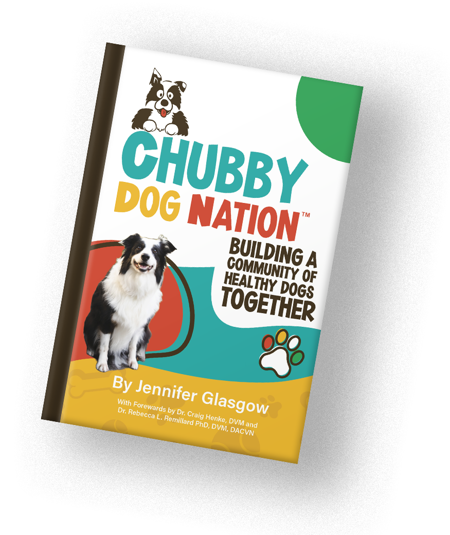 BookCover_Mockup.png