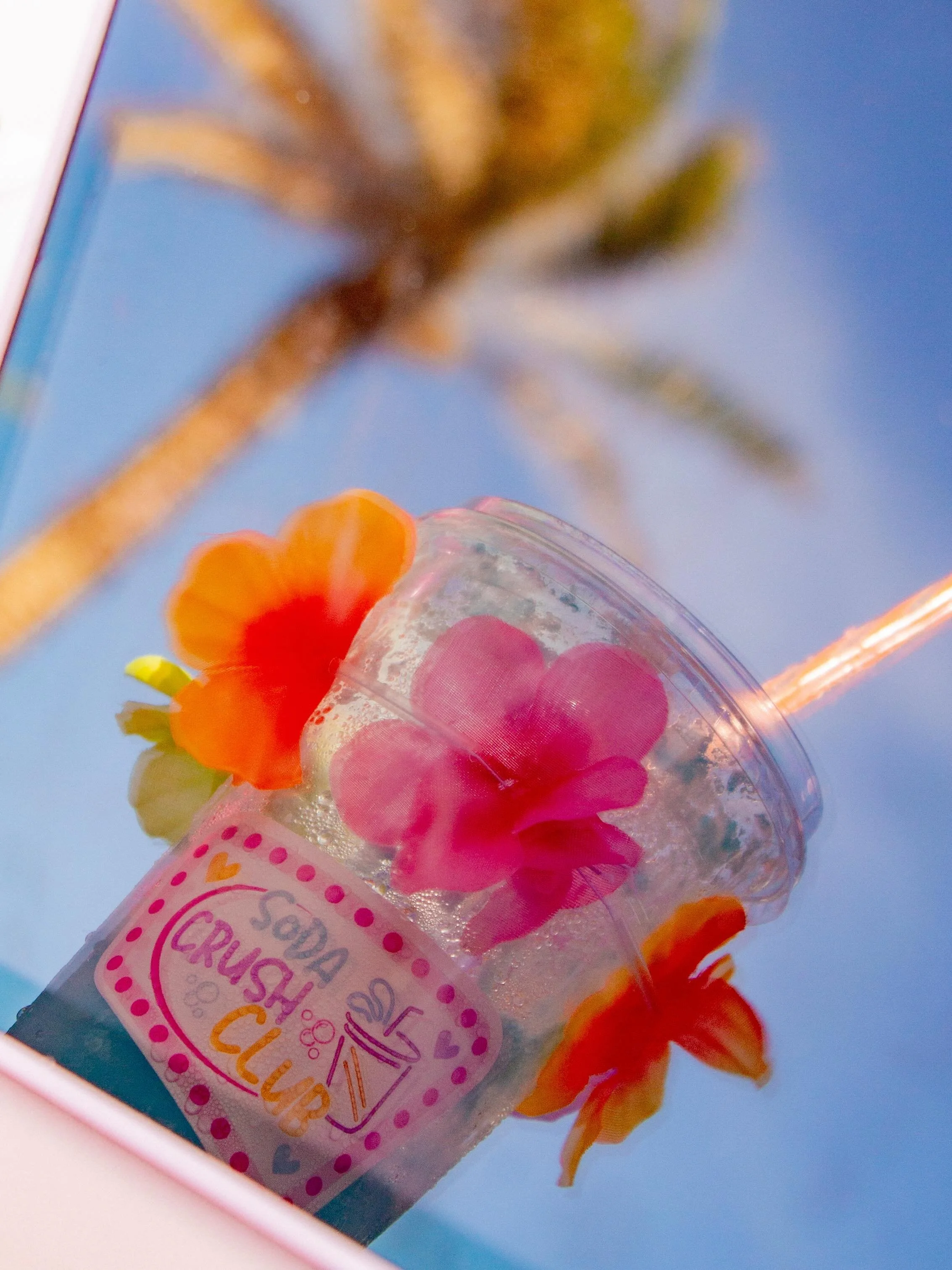 reflections ✨🌺🌊