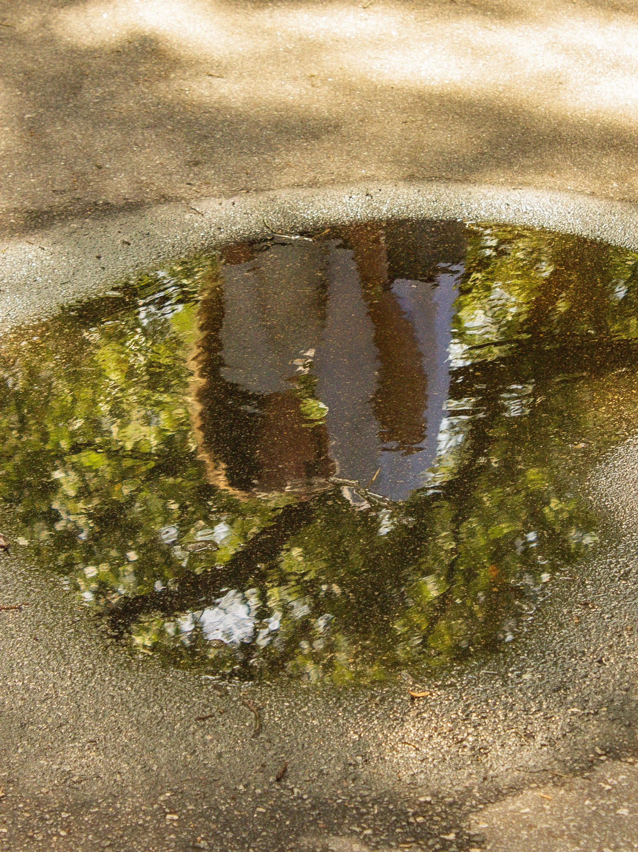 56-IMG_6379.jpg