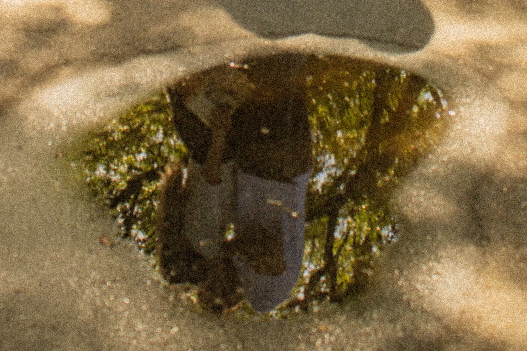 62-IMG_6390.jpg