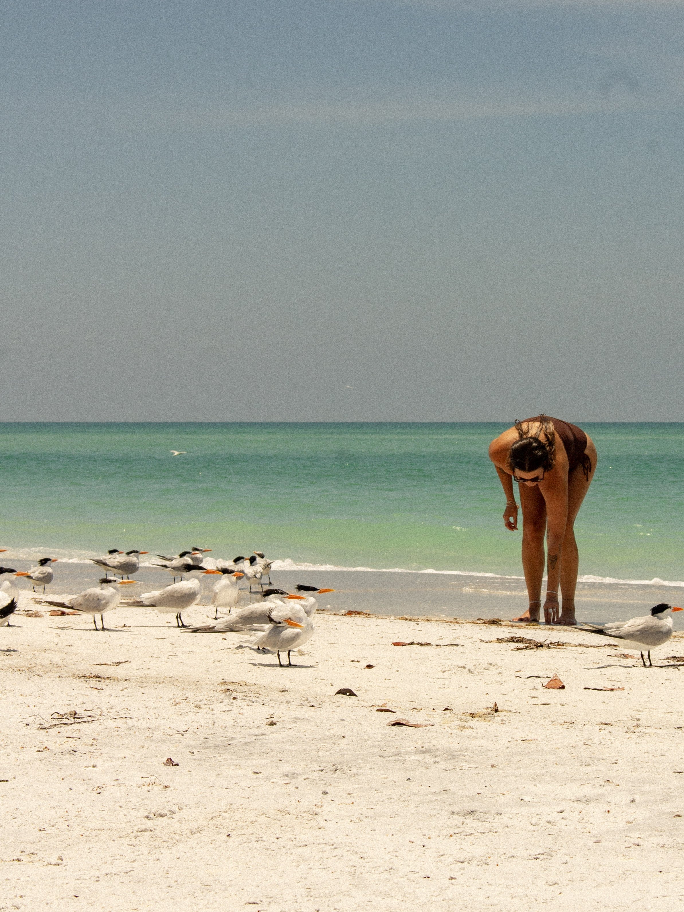 18-IMG_4816.jpg