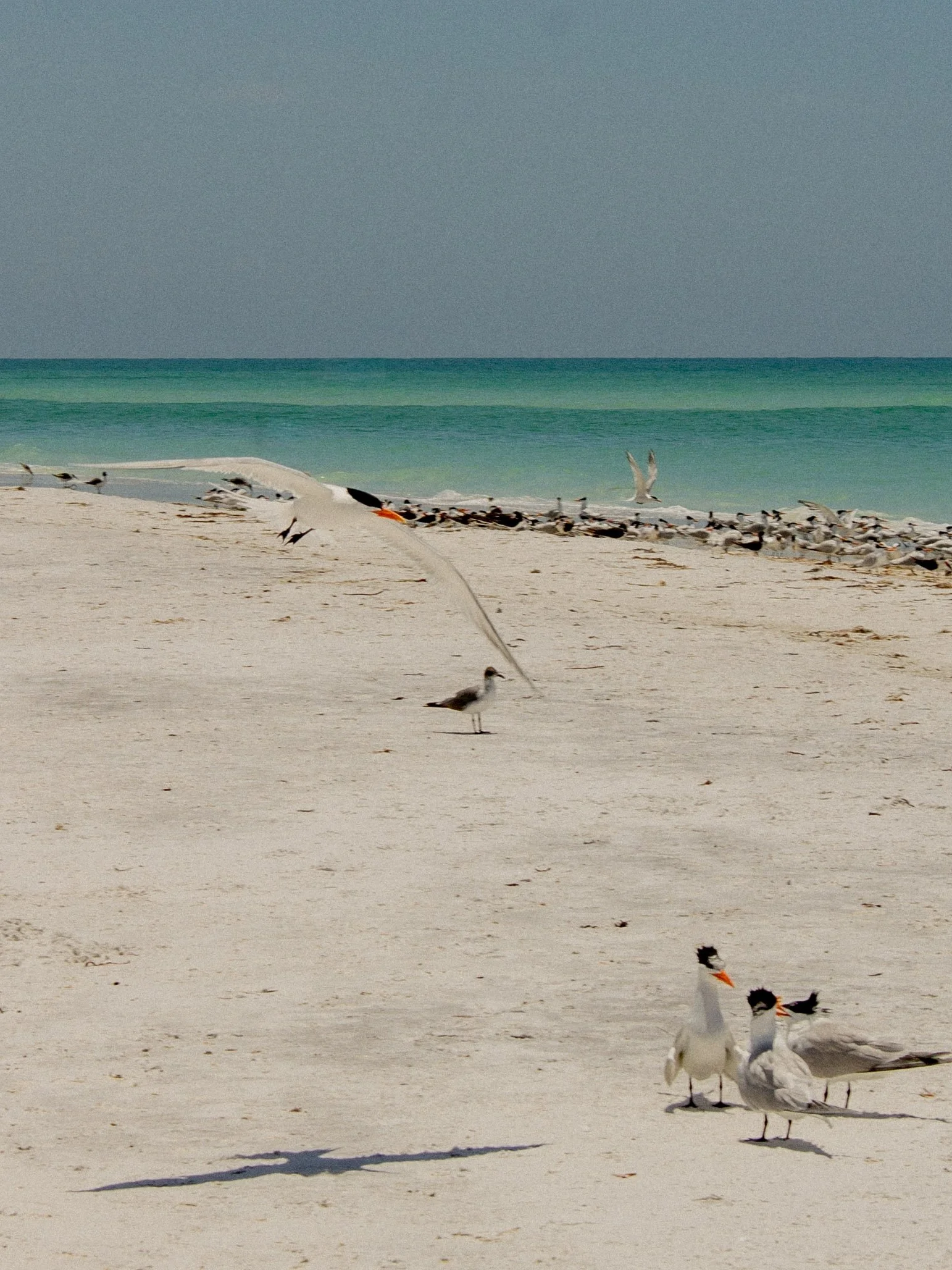 19-IMG_4825.jpg