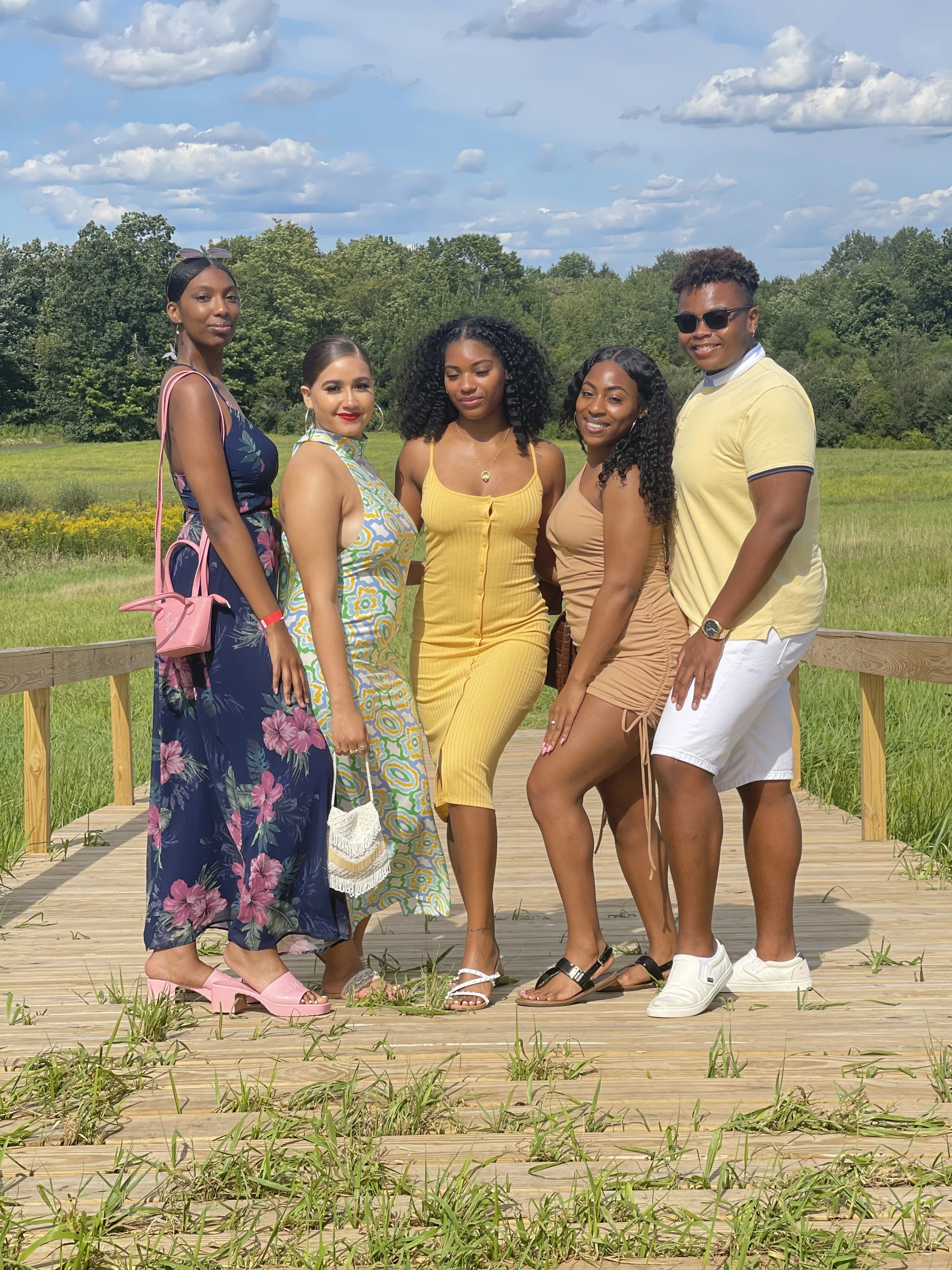 Group of six diverse friends standing arm-in-arm on a wooden platform outdoors, dressed in summer attire, with green fields and trees under a partly cloudy sky in the background.