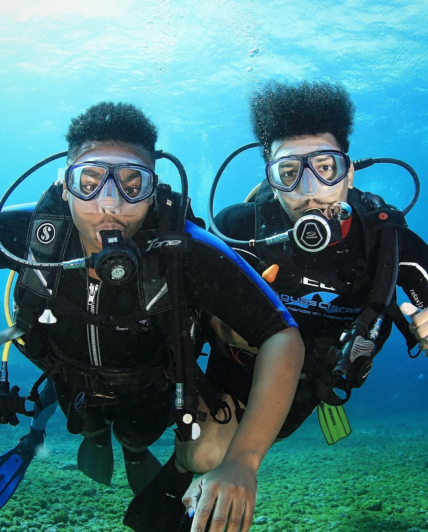 Two men in scuba diving gear underwater, wearing masks and breathing apparatus, with a green seabed visible below them.