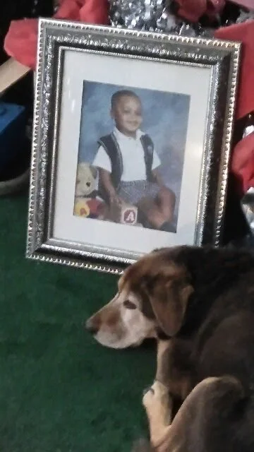 A framed childhood portrait of a boy with a backpack, placed on a table with a green tablecloth, next to a sleeping dog.