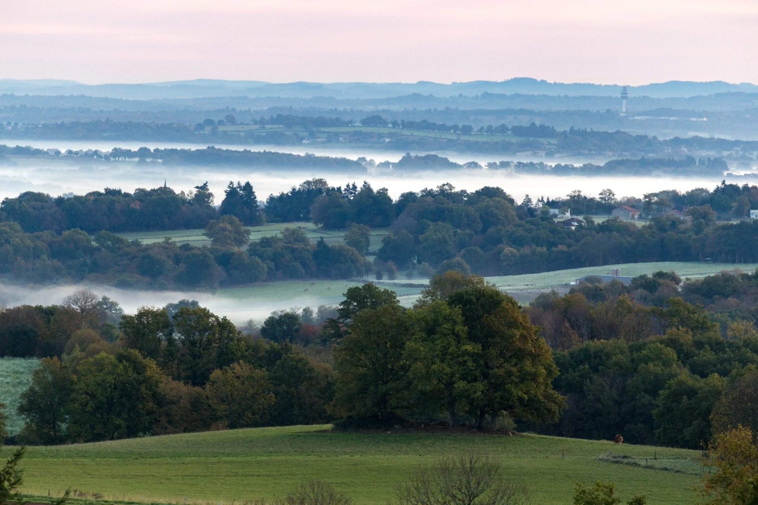 pnr perigord limousin.jpg