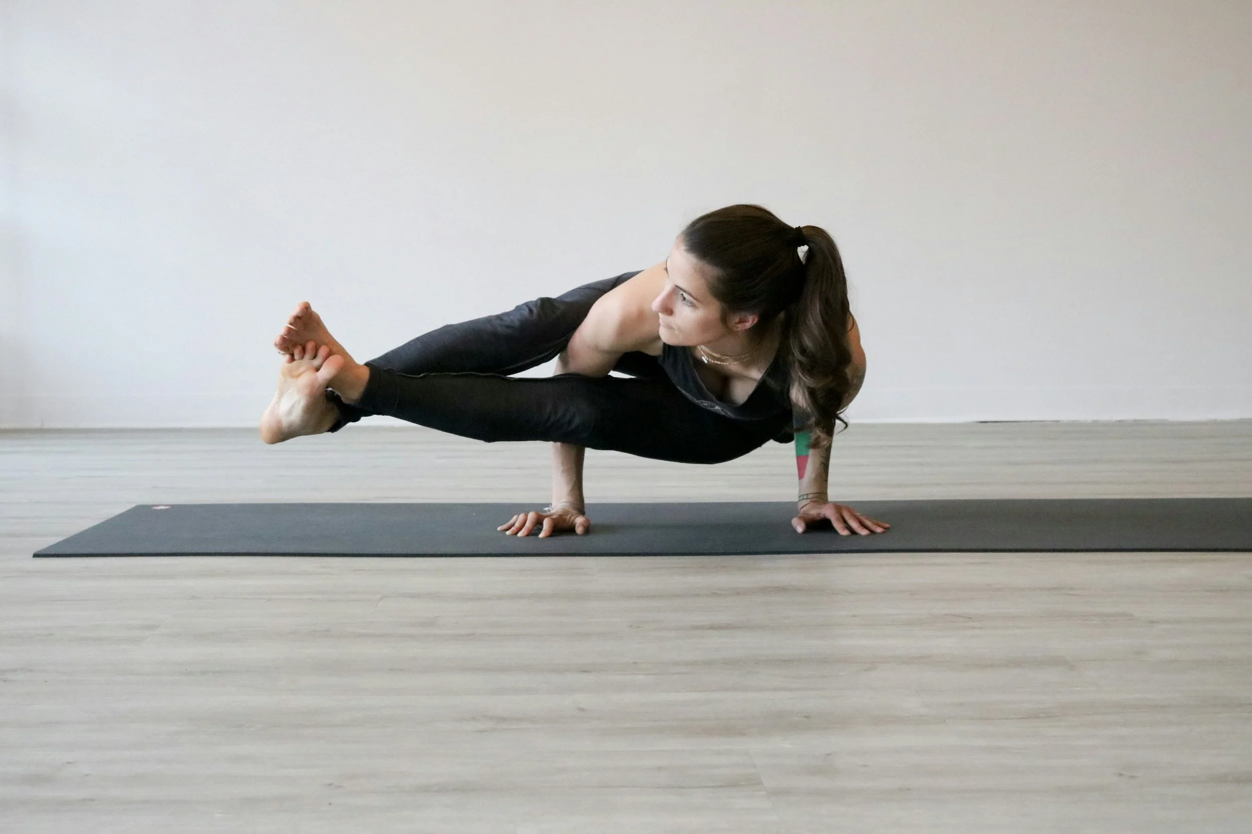 Intro to Arm Balancing with Chessie