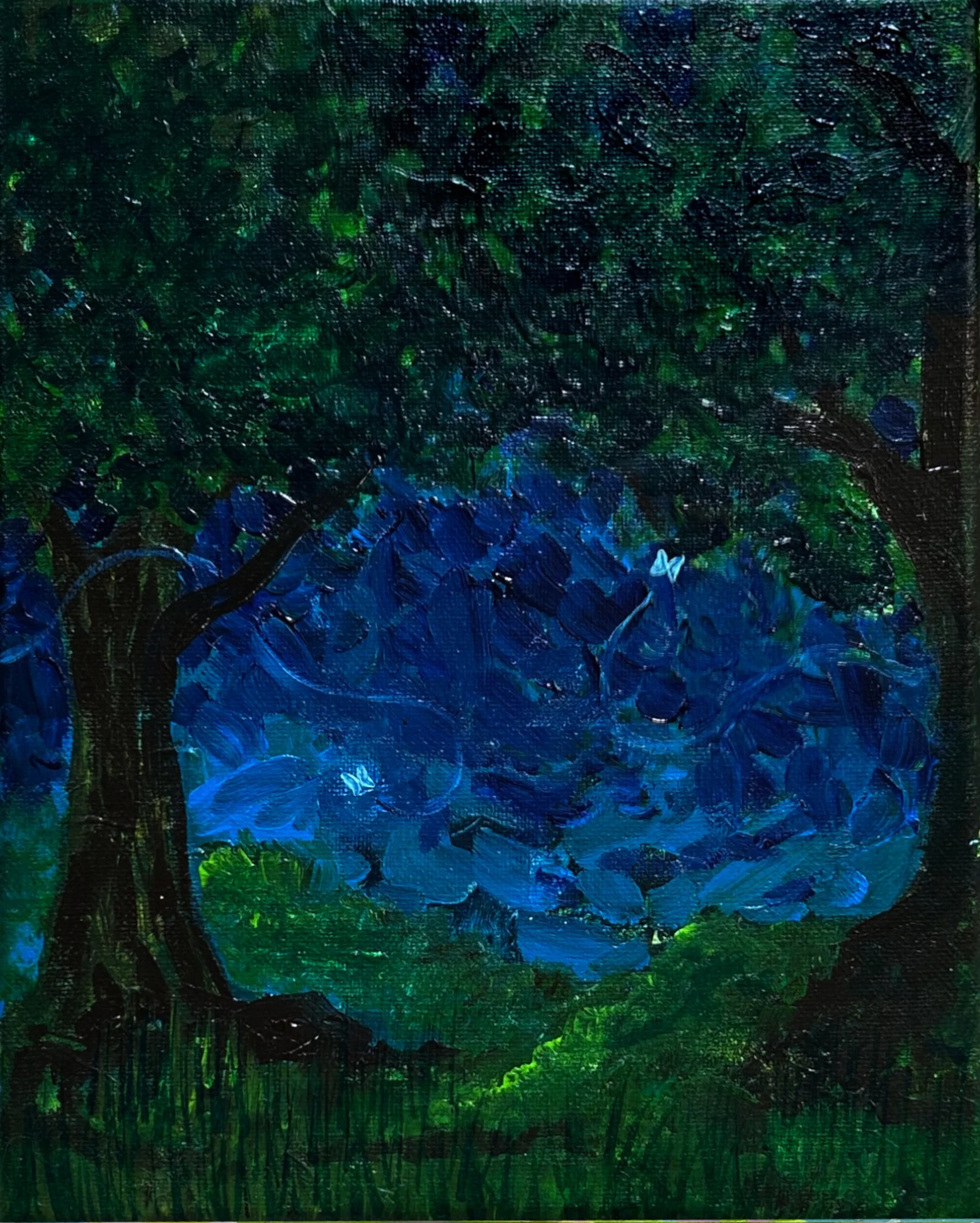 Night Air.jpeg