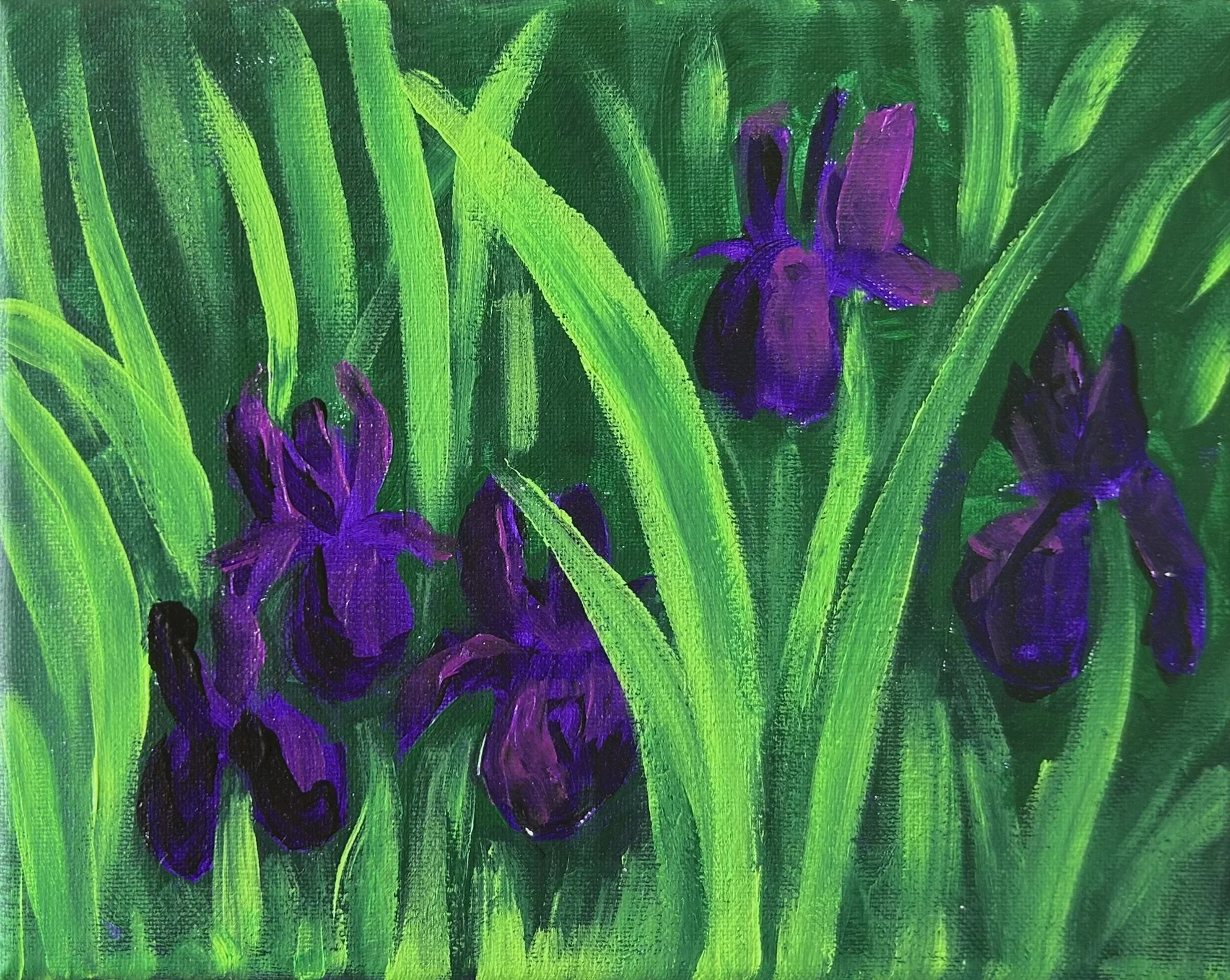 Irises