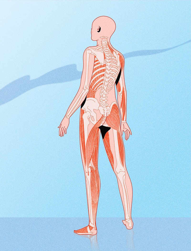 CH01_Système postural_illu01_P15.jpg